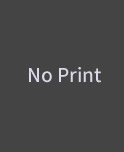 noprint