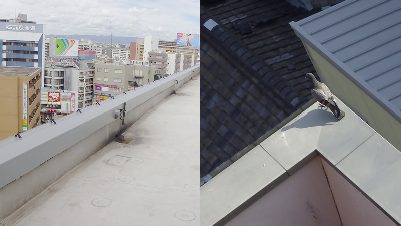 屋上・パラペット