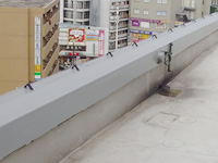 屋上・パラペット