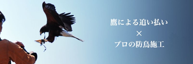 鳩やカラスを追い払うと共に防鳥施工を行うことで効果的な鳥害対策を