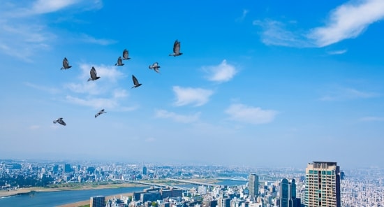 理念・スローガン・ビジョン