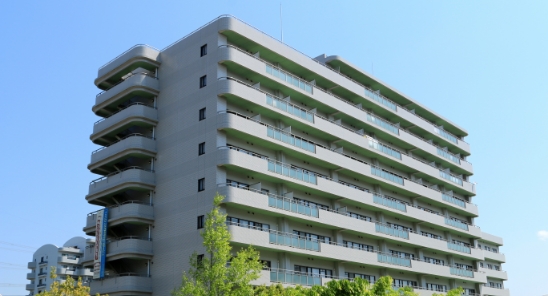 マンションの鳥害対策