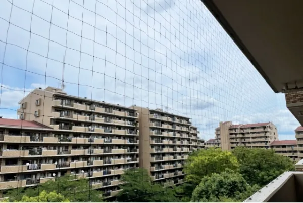 防鳥ネット