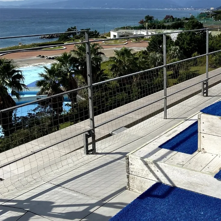 ピーコンSUSネット6