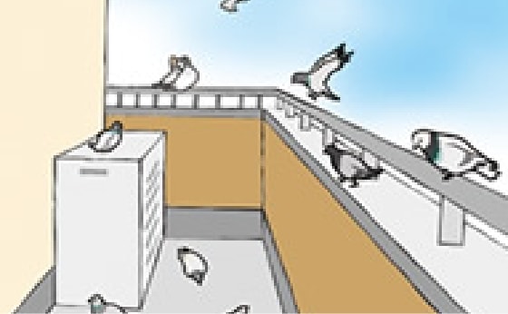 鳩の被害レベル