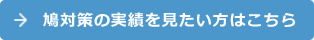 鳩対策の実績を見たい方はこちら