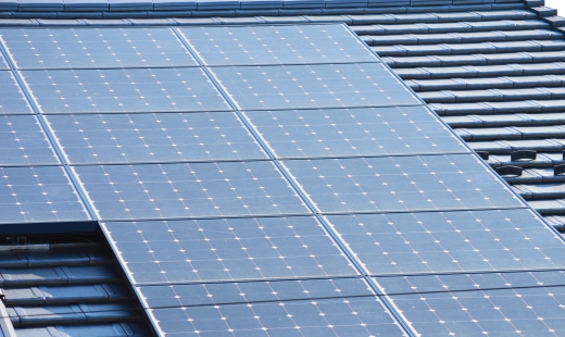 太陽光・ソーラーパネルの鳩被害