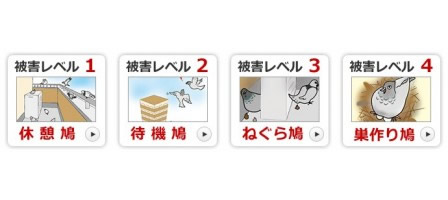 鳩の対策商品の選び方