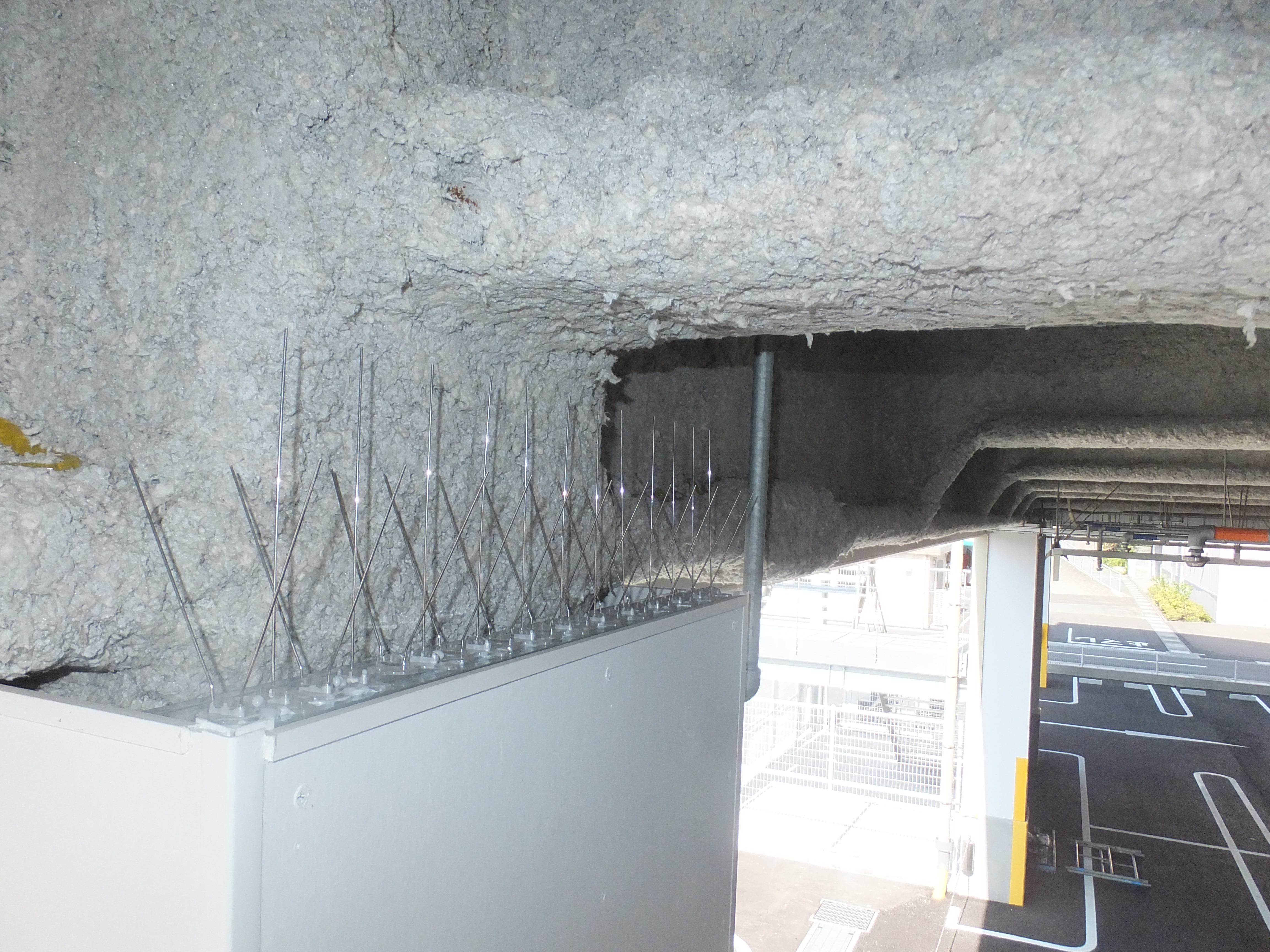 宮崎県のショッピングモール外周柱上部にピーコンスパイクＶを施工しました