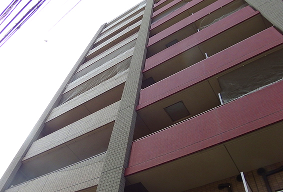 鳩対策商品　防鳥ネット「ピーコンネット」について