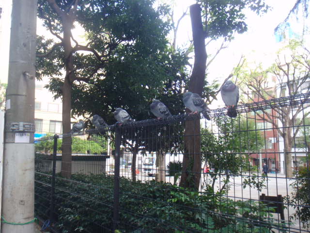 よくある光景！？