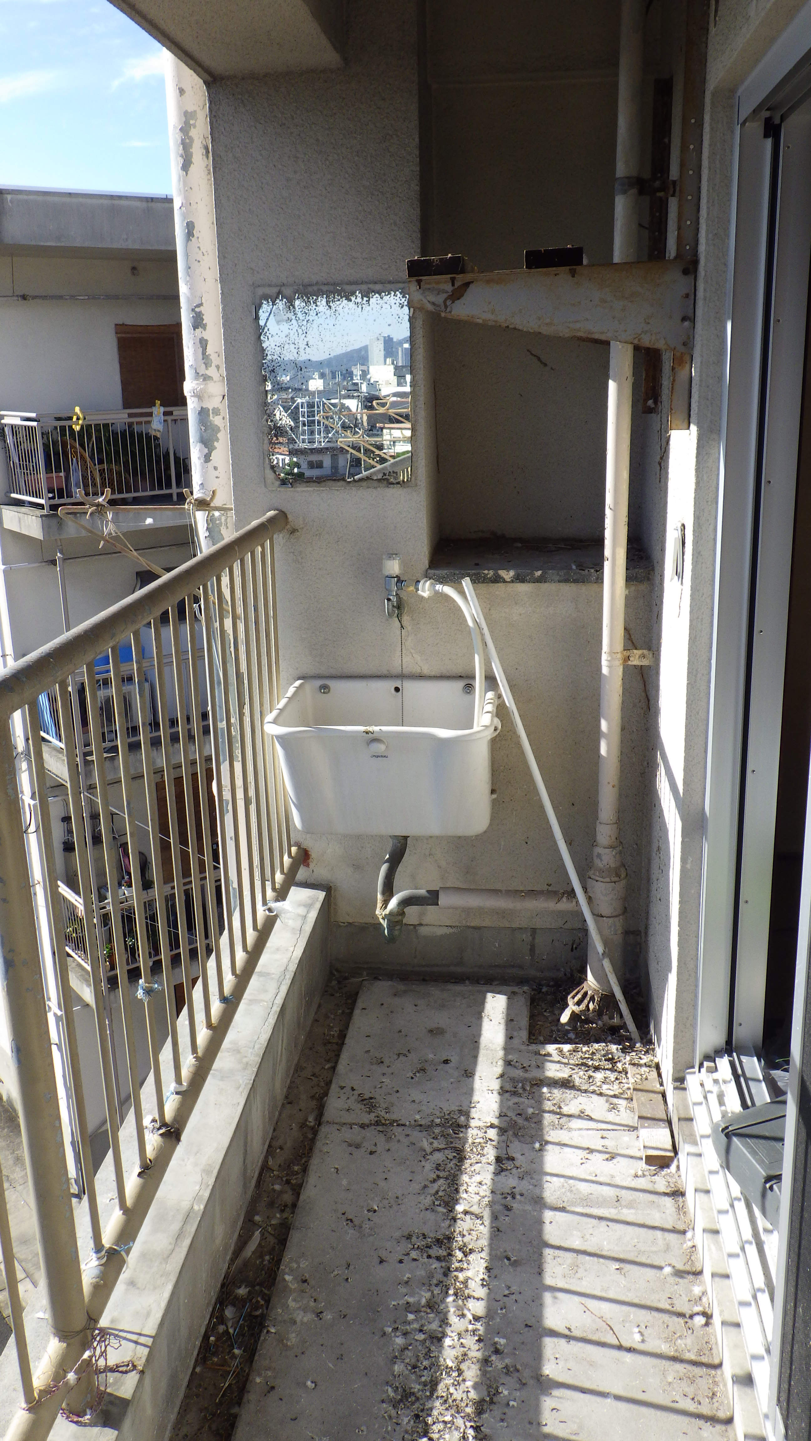 糞を取り去って綺麗に