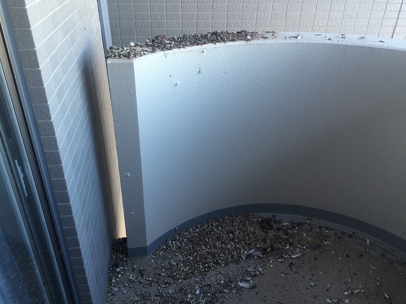 ベランダの鳩対策ネット施工