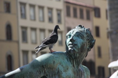 statue-bronze-pigeon