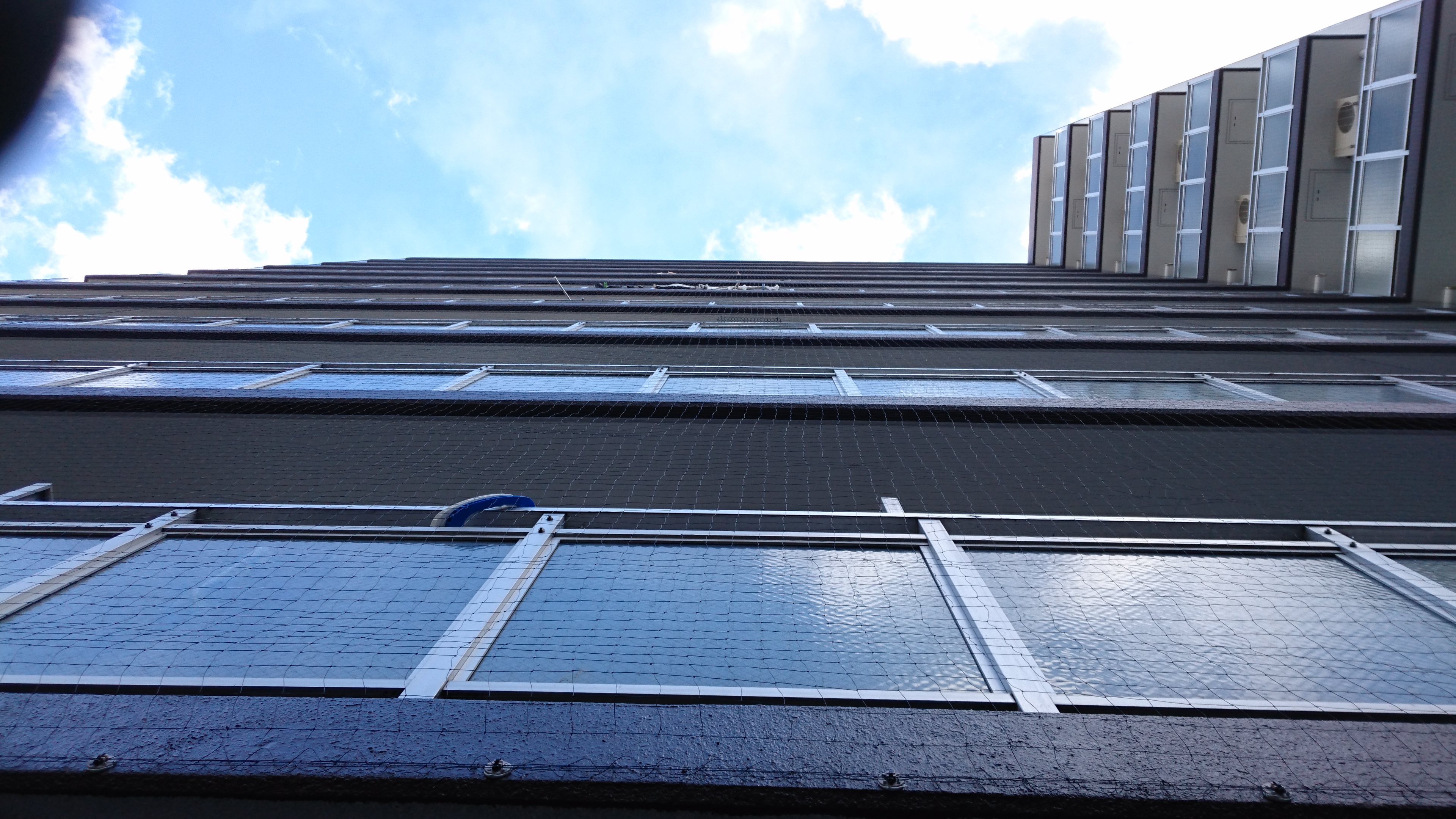 美観を損ねないネット施工が得意です