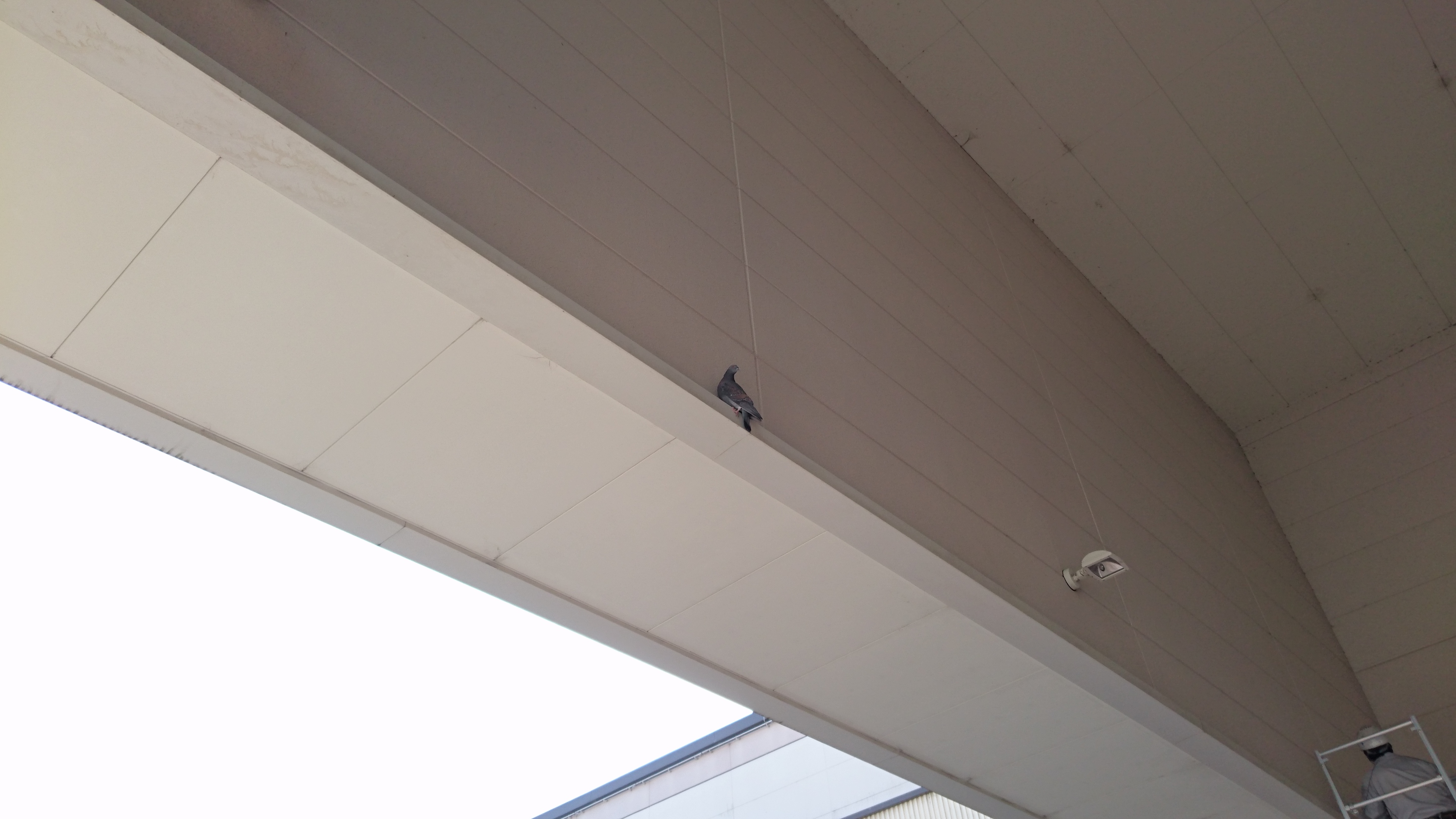 伊勢市　ショッピングモールの入口ホールの吹き抜け部にピーコンスパイクVSTとピーコンネット５０を取り付けしました