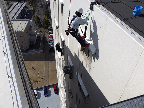 鳩対策でのロープ作業