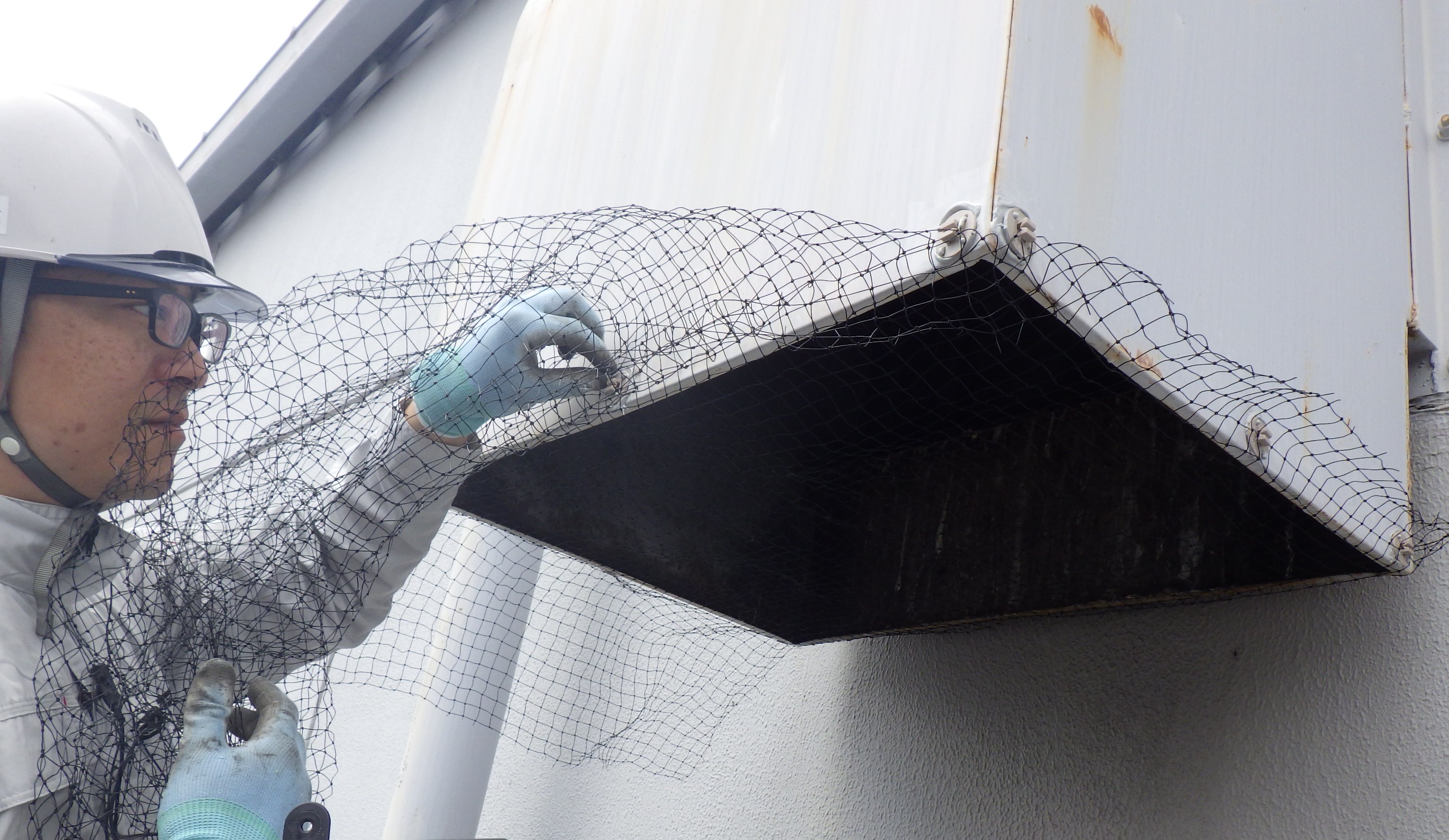 ピーコン電気ショックの施工ヾ(＠⌒ー⌒＠)ノ・・・・・