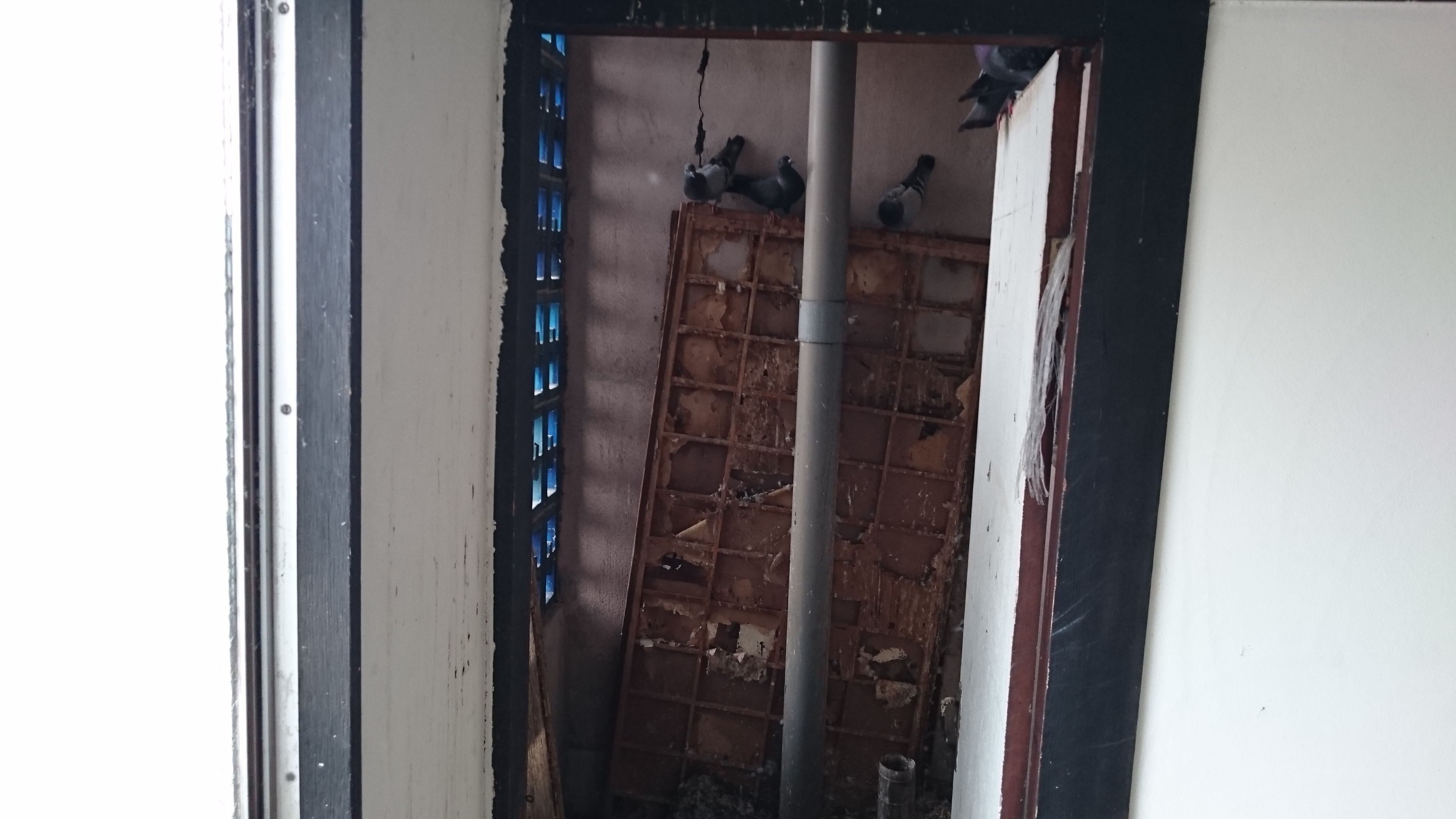 人が住んでいないと・・・