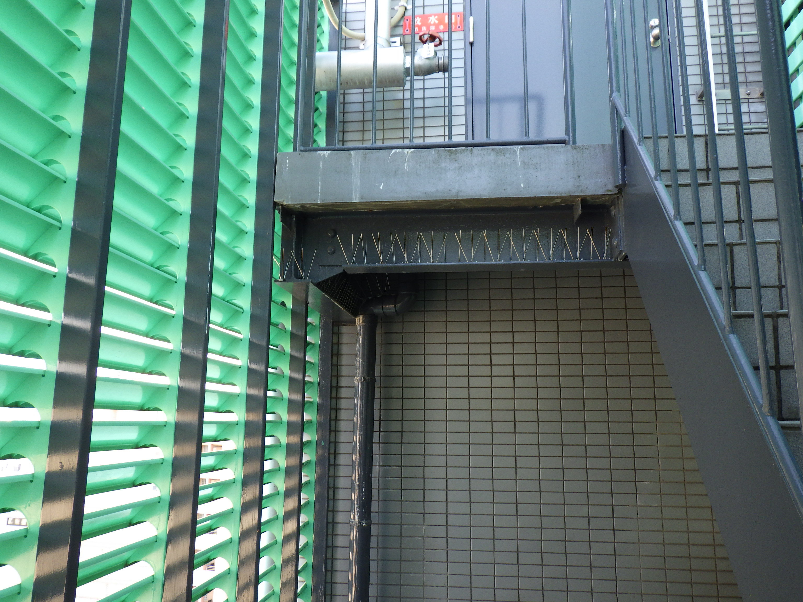 大阪市内　ビル屋上に防鳥ネット「ピーコンネット１８」を、非常階段部に鳥害対策専用剣山「ピーコンスパイクVST」を鳩の飛来を防ぐように設置しました