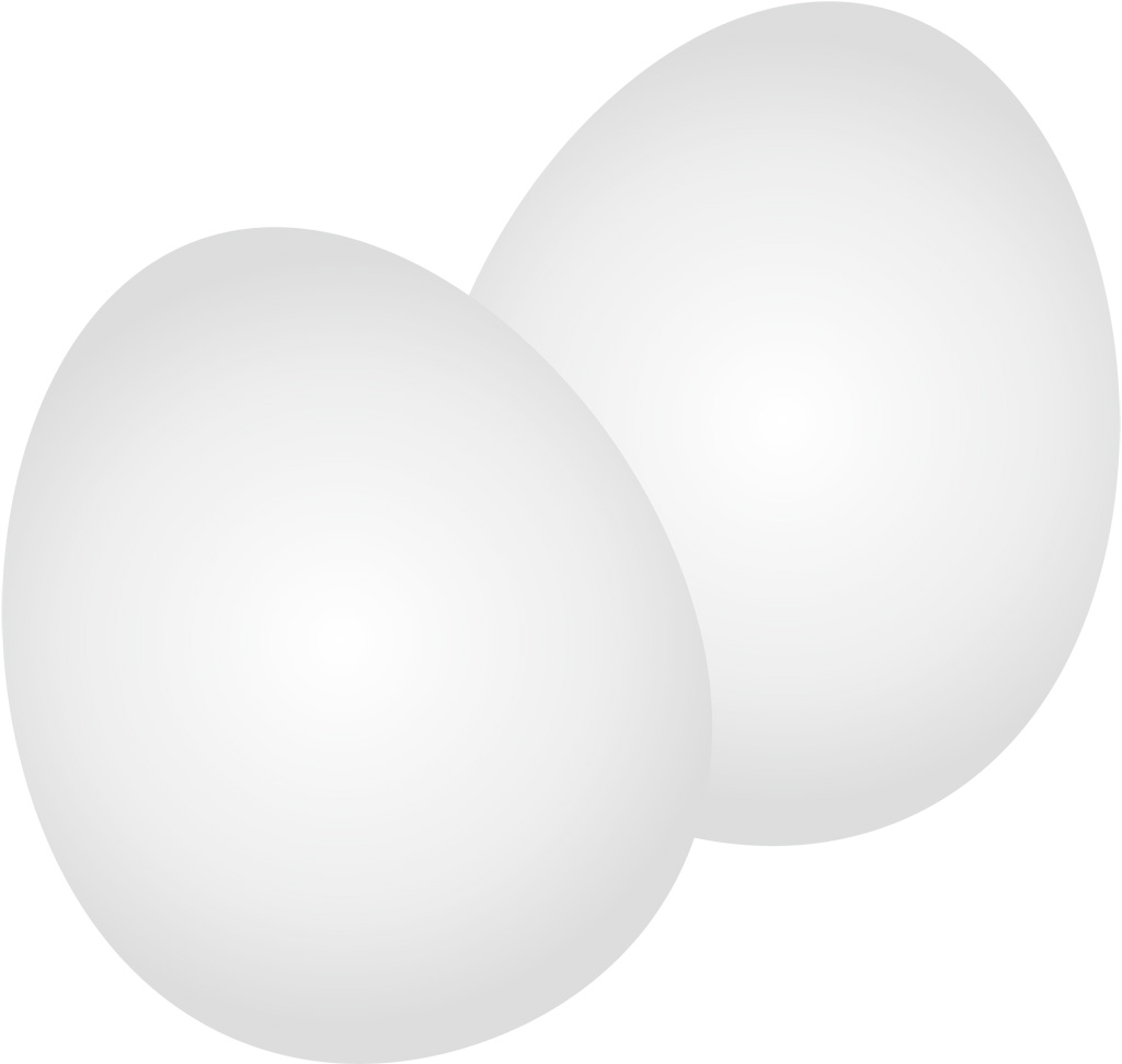 鳩が卵を産んでしまったら!?