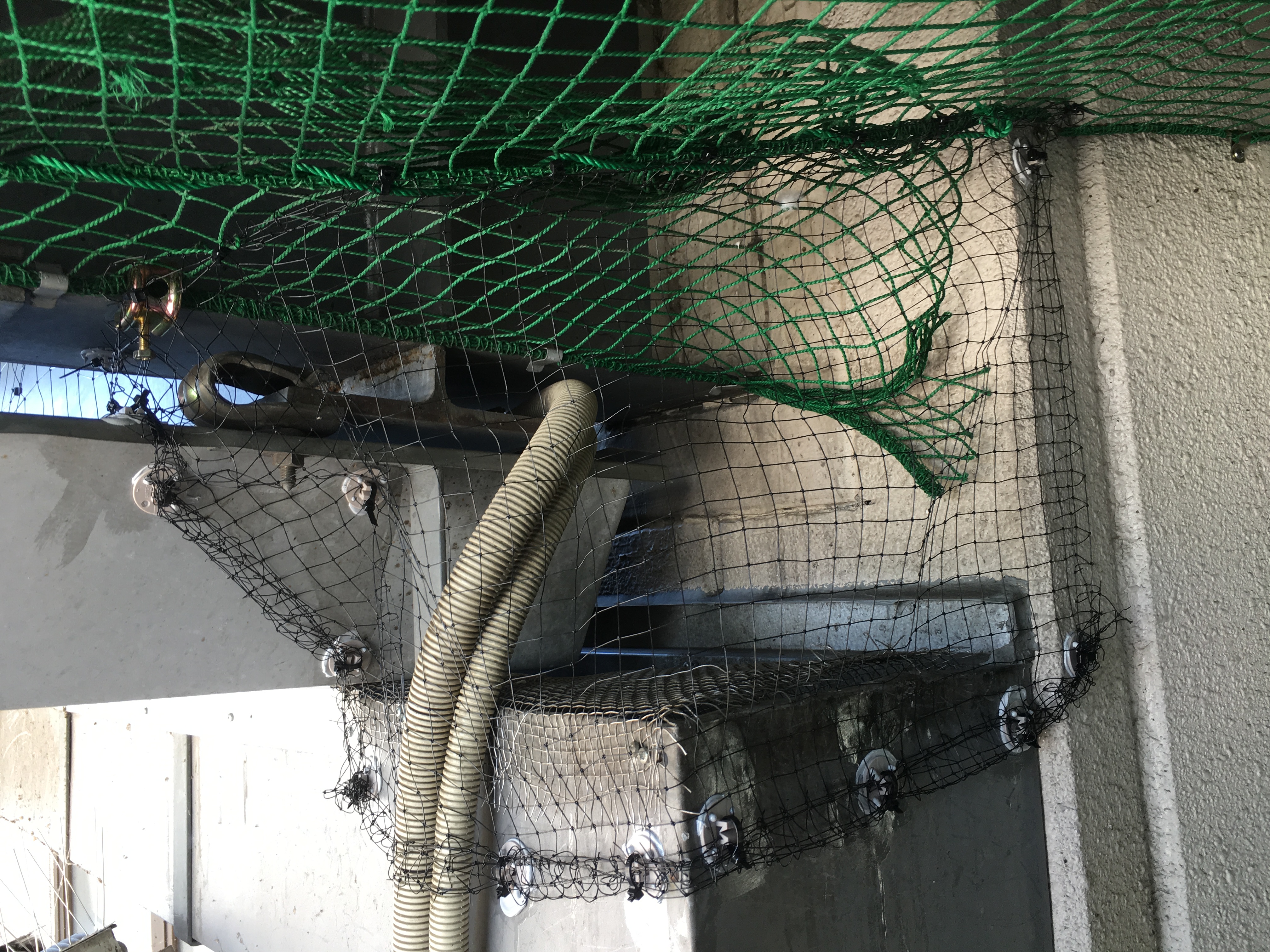 鳩対策ネット貼ったのに効果がない・・・