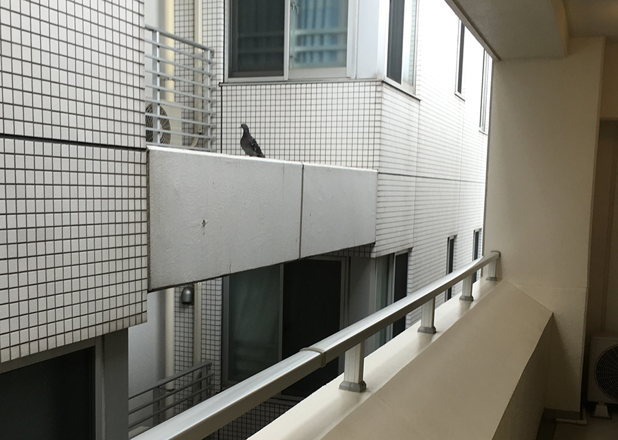 20cfce153c6dcbd30dc35695758066