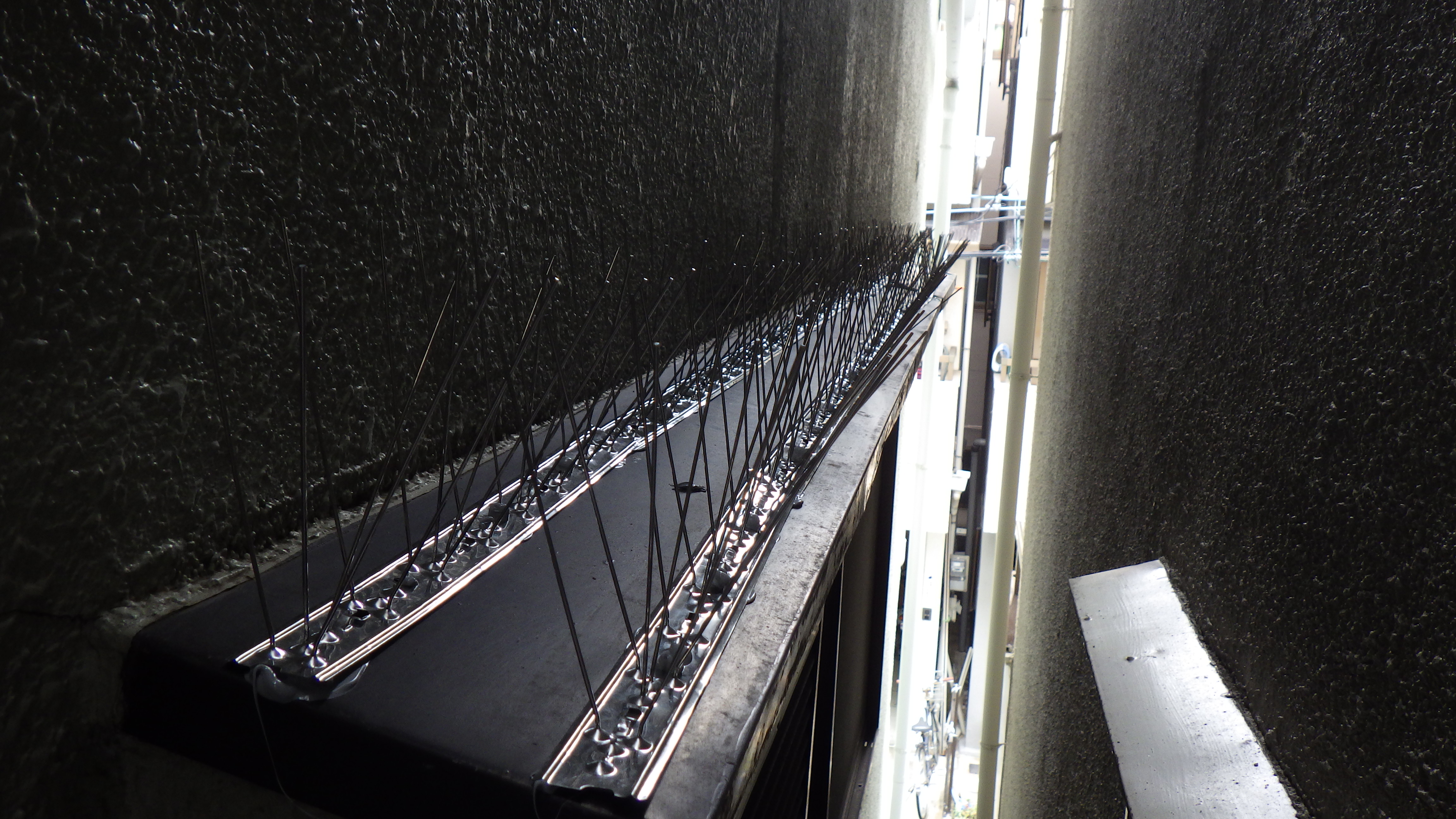 大阪府東大阪市　戸建住宅の窓庇に鳥害対策用剣山「ピーコンスパイクＶＳＴ」を設置し、鳩が休憩・待機できないようにしました。