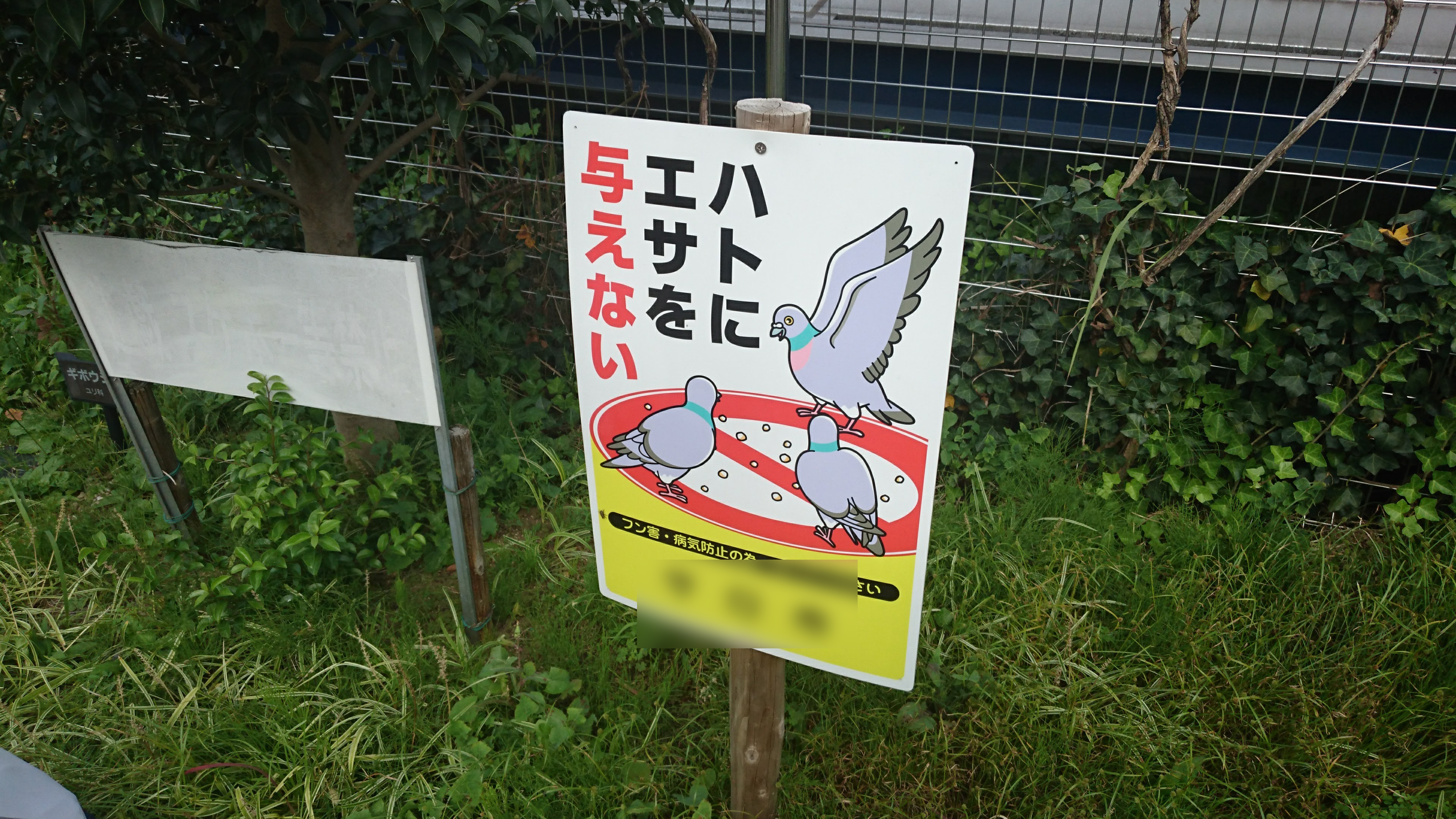 鳩対策センターからのお願いです