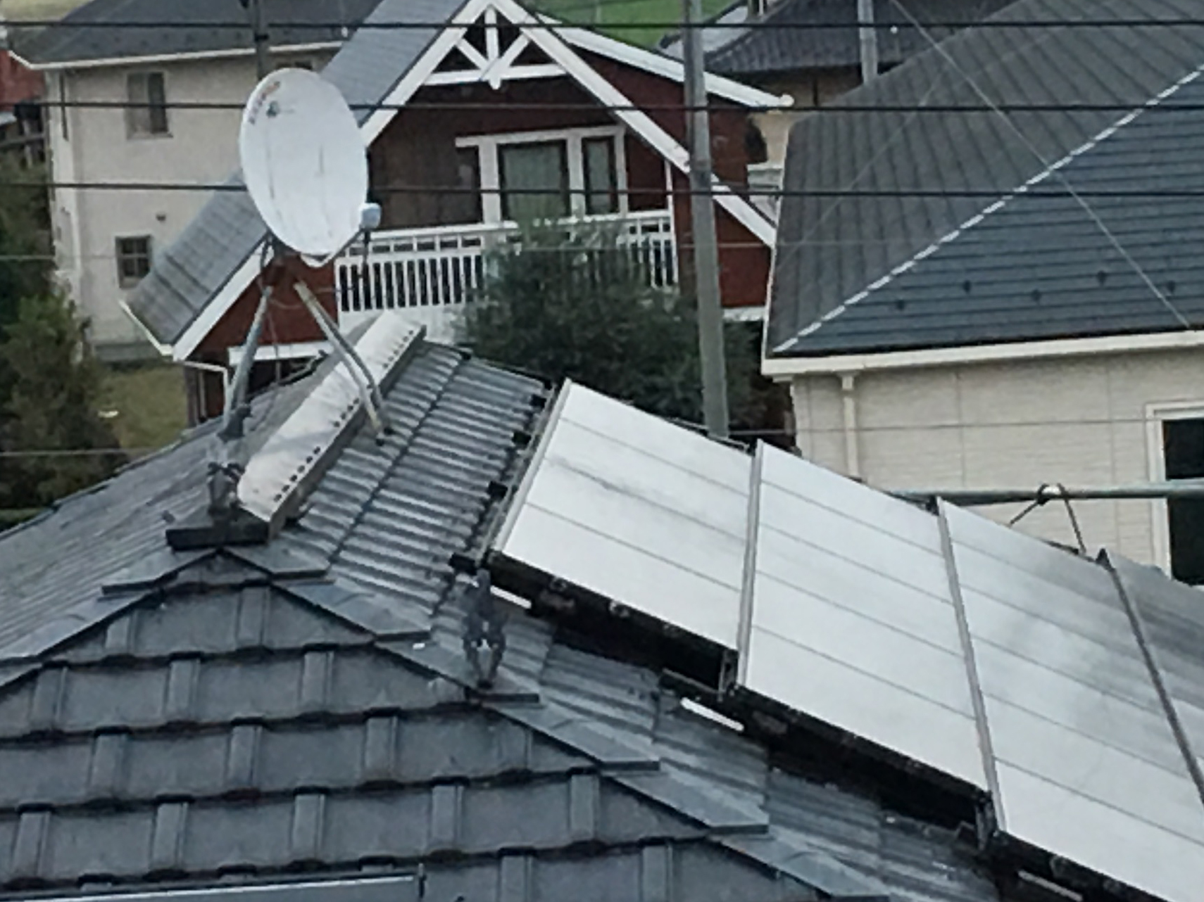 太陽光パネルは鳩や鳥たちの集合住宅?