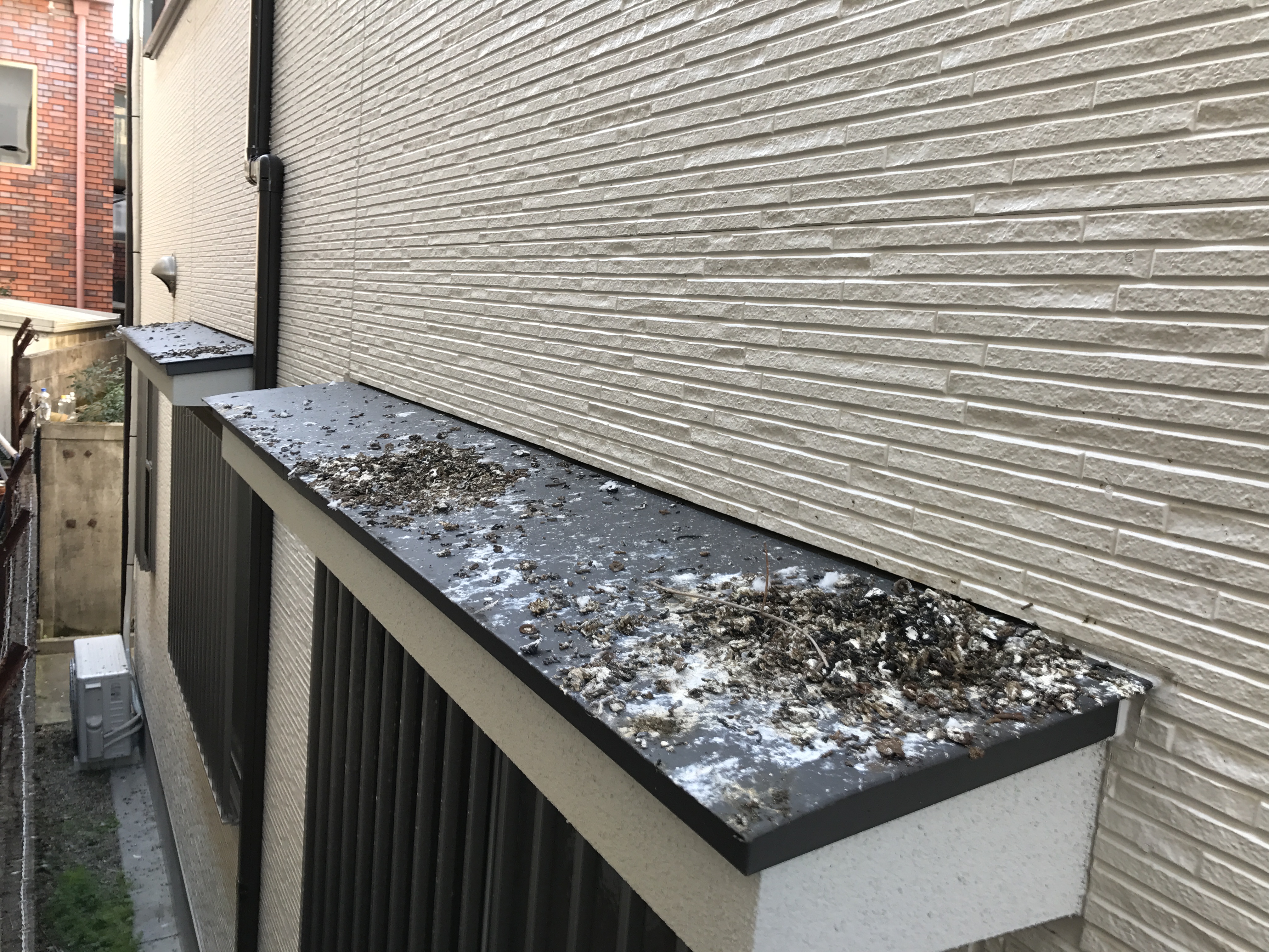 京都市上京区　戸建住宅　ピーコンスパイク施工