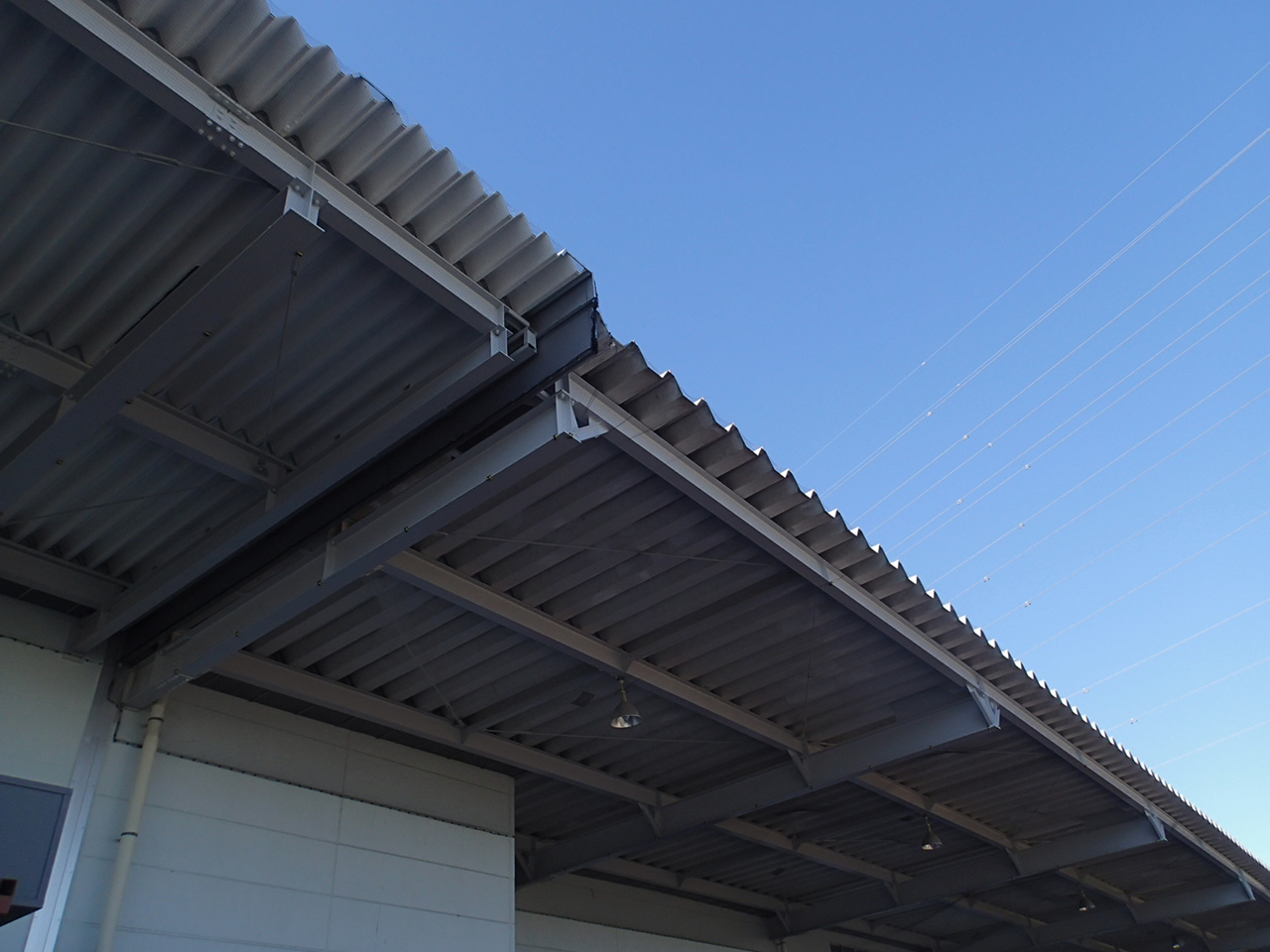 栃木県足利市　某物流倉庫へスズメと鳩対策を行いました