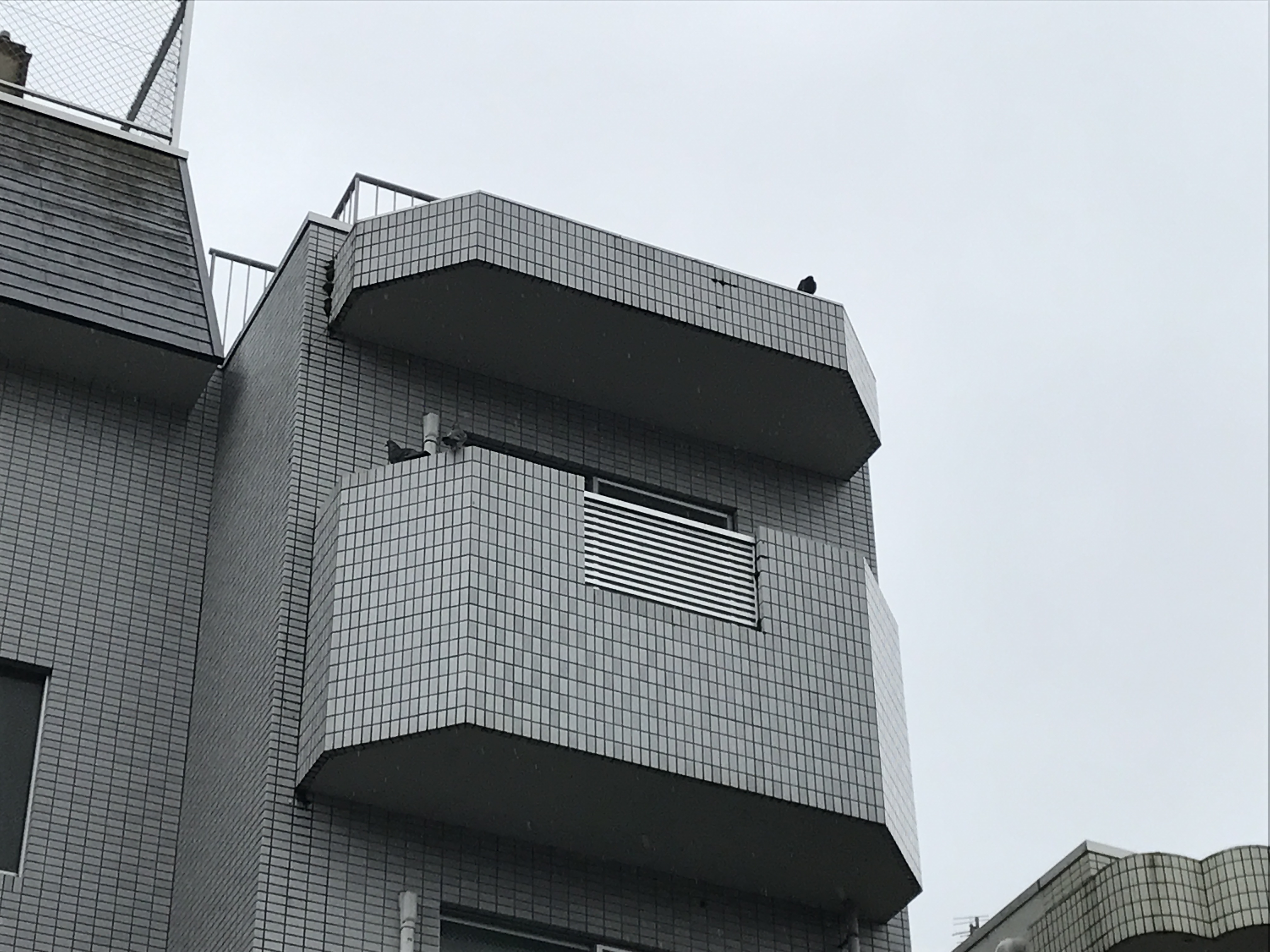 京都市北区　賃貸ワンルームマンションベランダにピーコンネット50を取り付けて鳩の侵入を防ぎました。