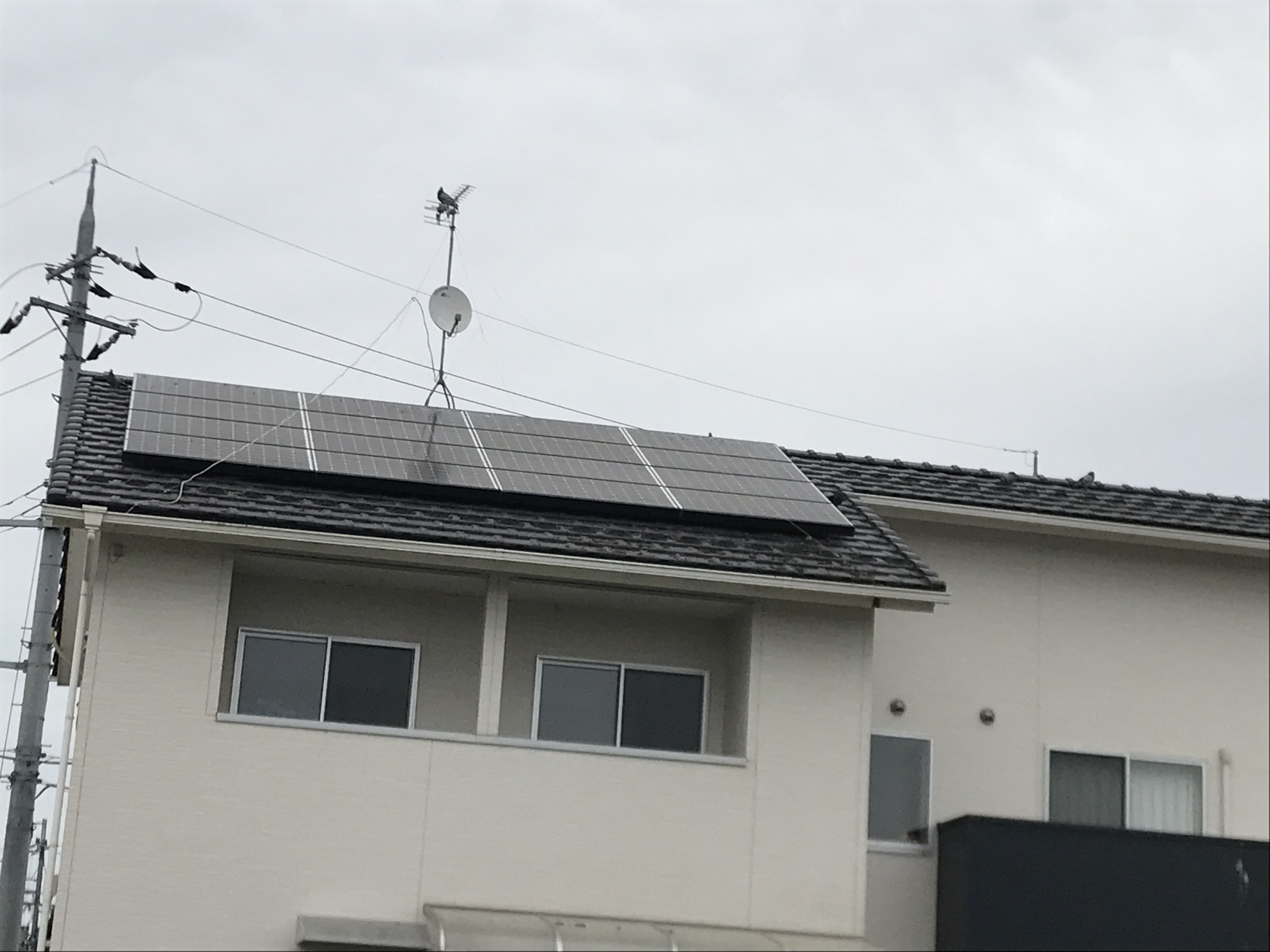 滋賀県近江八幡市　戸建住宅ソーラーパネル下に鳩が巣を作ったので隙間にネット施工しました