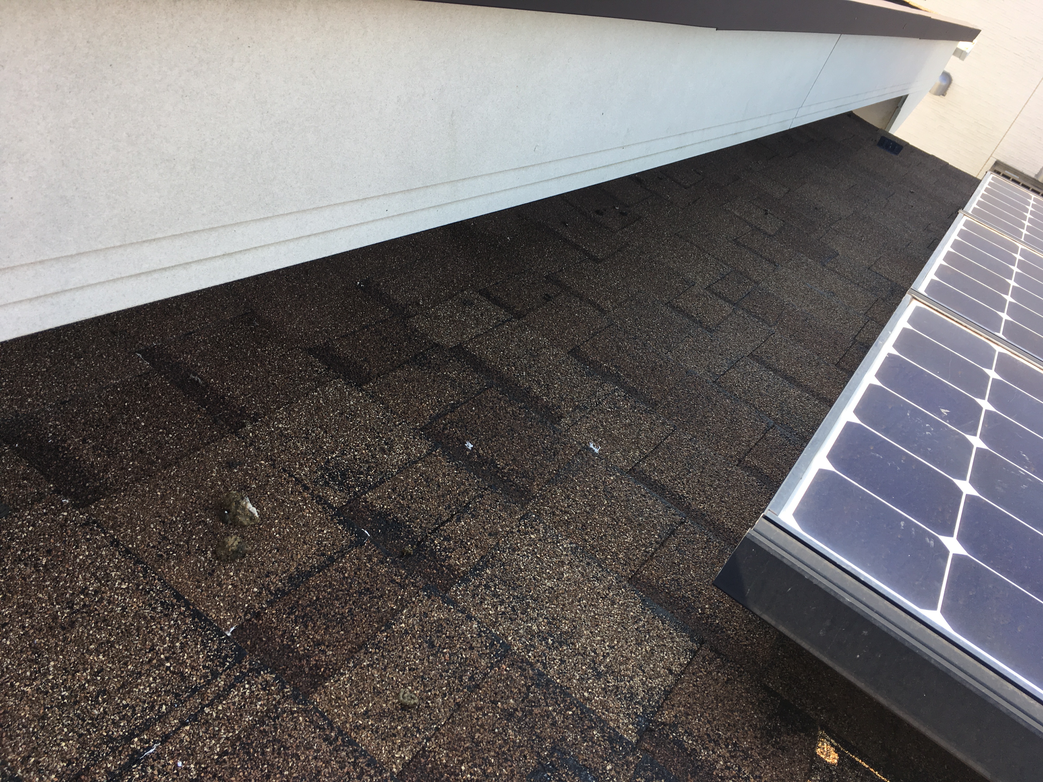 埼玉県吉川市　戸建住宅　ピーコンネット設置工事