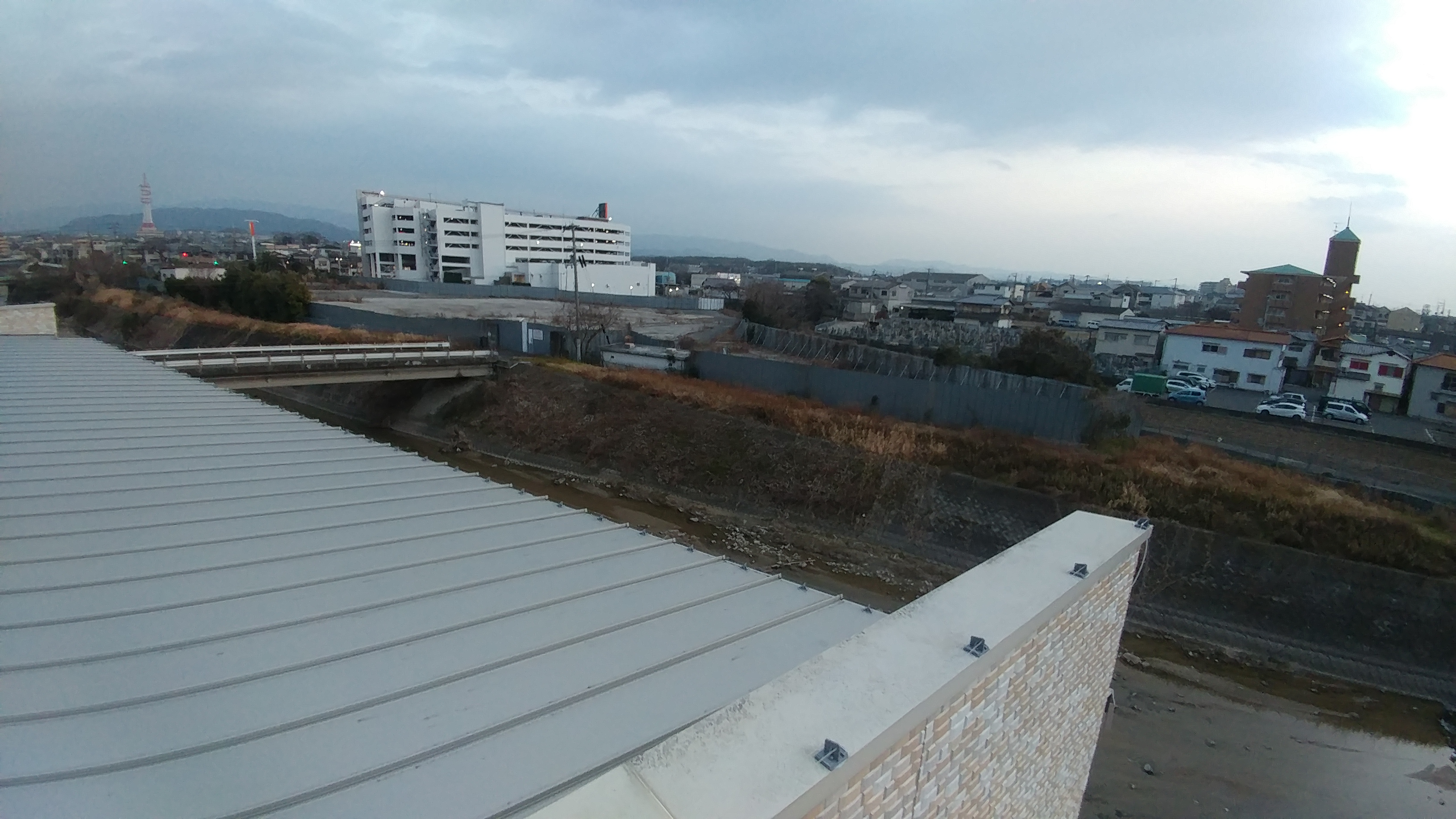 こんなところに鳩が多い！！！！