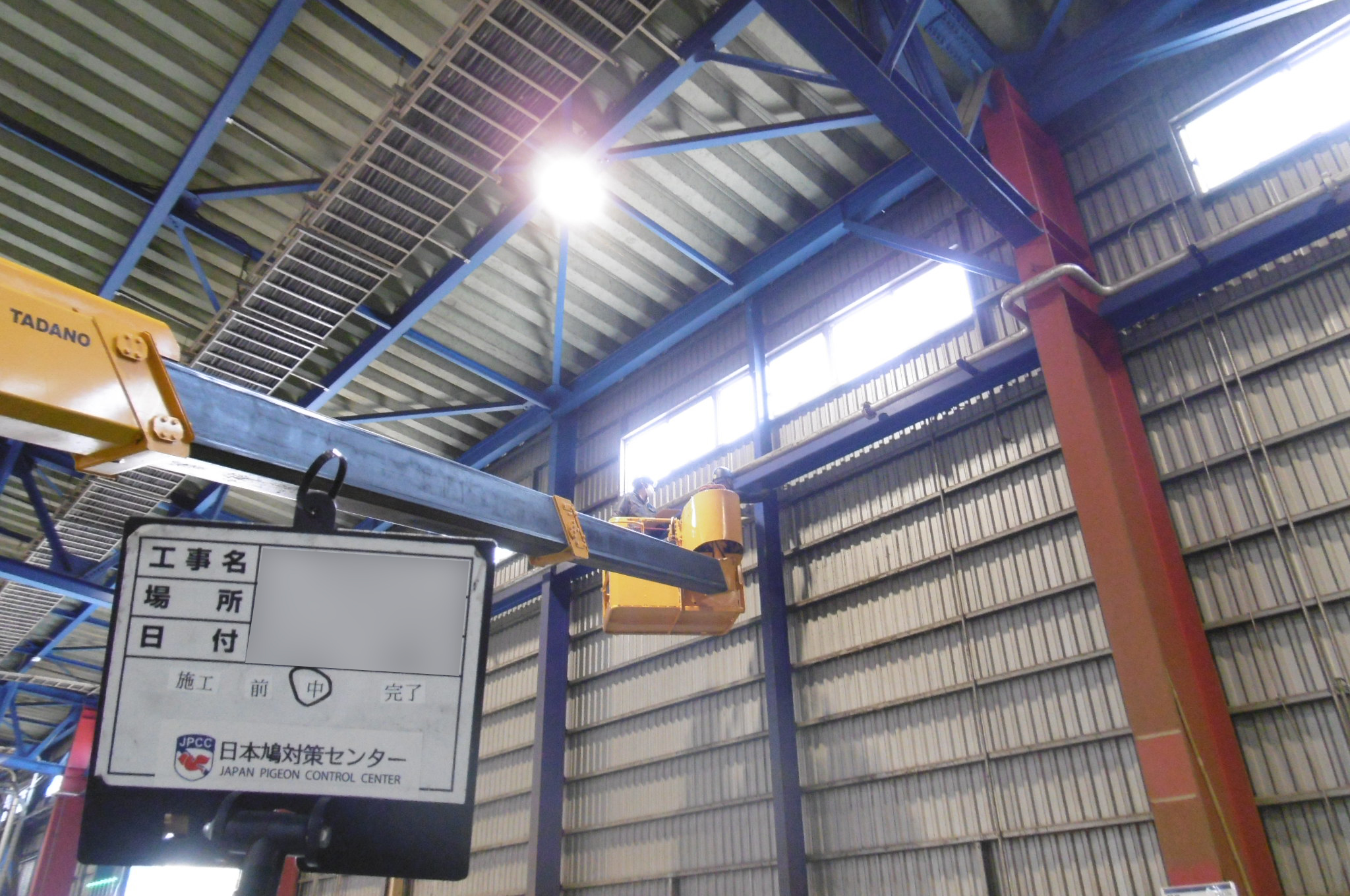 茨城県坂東市　某工場の天井に防鳥ネット　ピーコンネット50を設置しました。