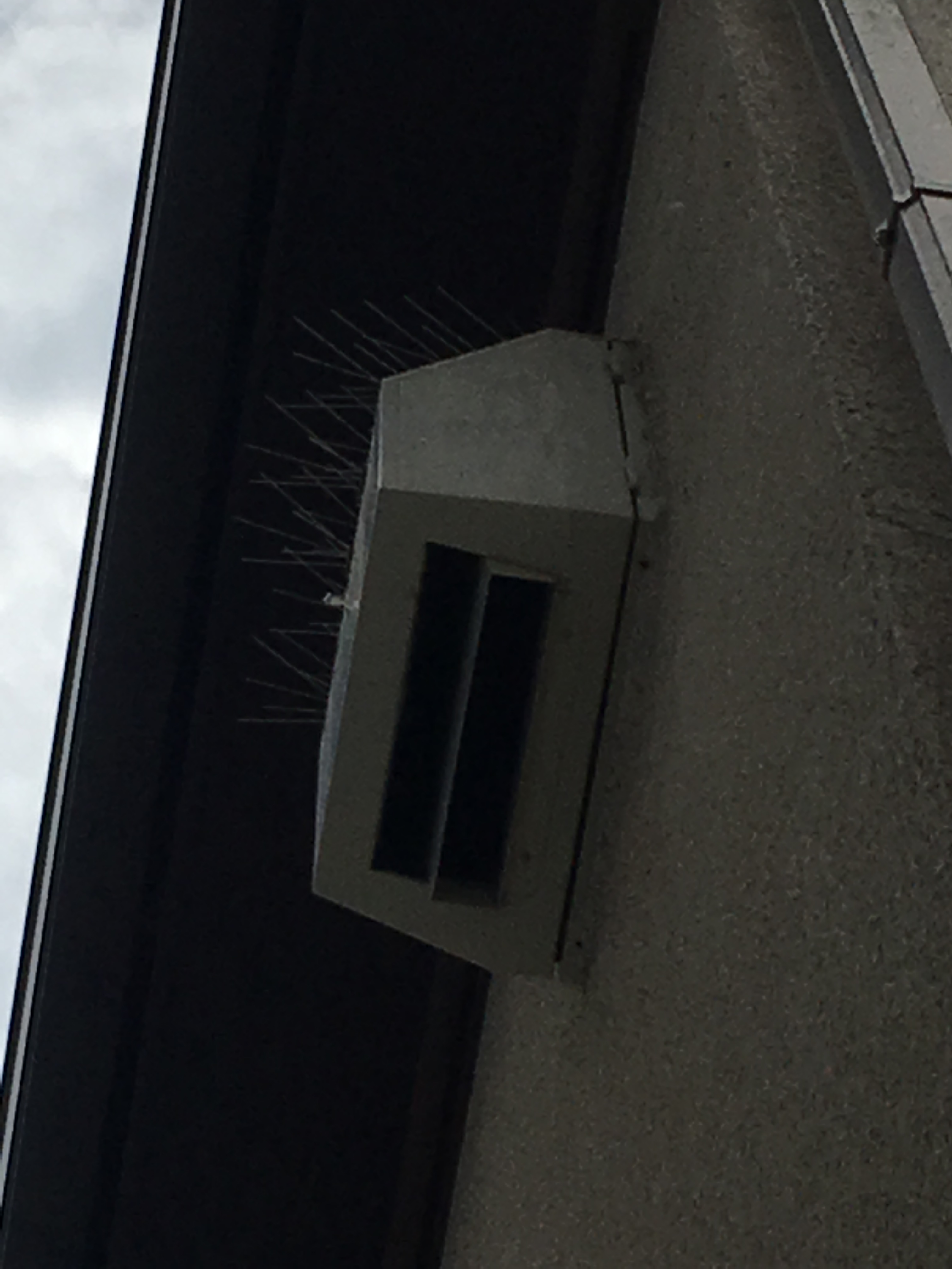 埼玉県越谷市　戸建住宅　換気フードに防鳥剣山ピーコンスパイクVSTを設置