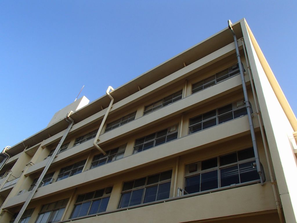 兵庫県神戸市　某大学の校舎に防鳥ネットピーコンネット５０を設置し、鳩の侵入を防ぎました。