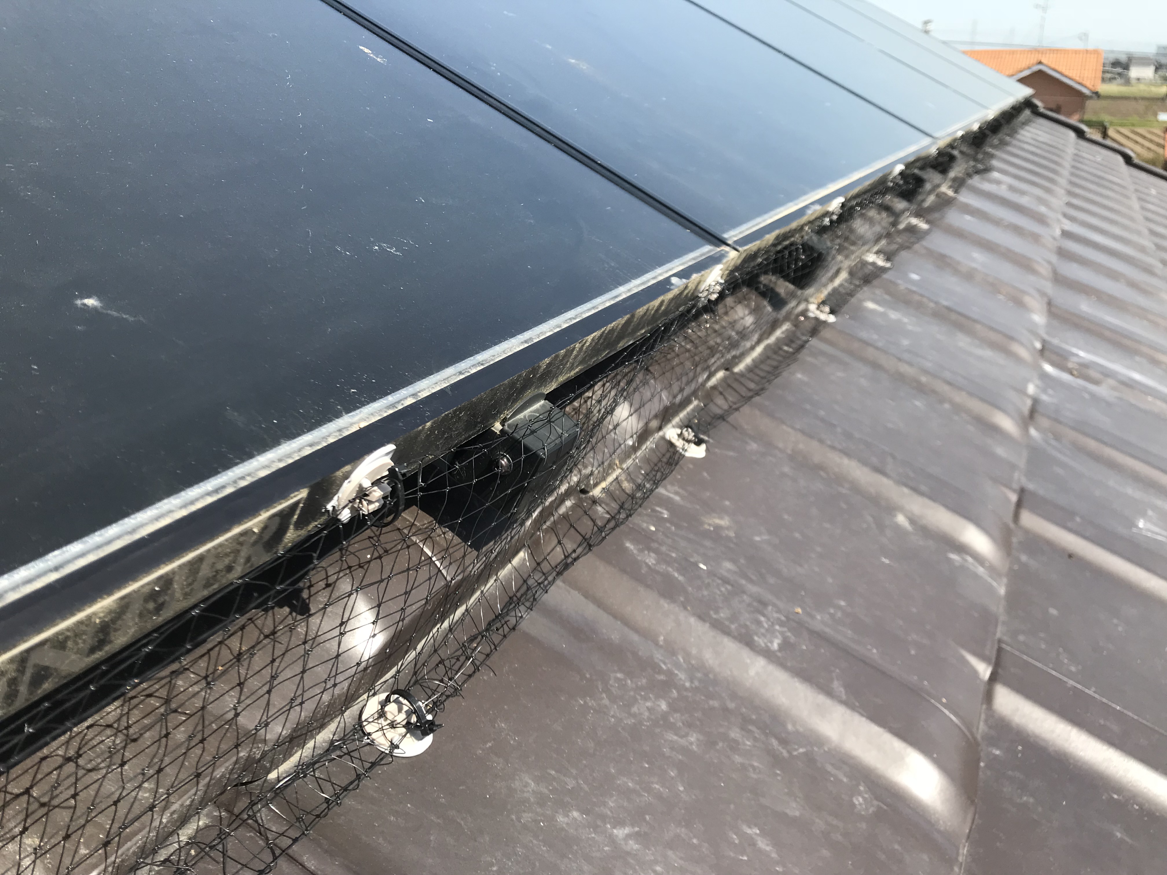 滋賀県近江八幡市 戸建住宅ソーラーパネルと屋根の間に鳩が巣作り 防鳥ネットにて侵入防止 日本鳩対策センター