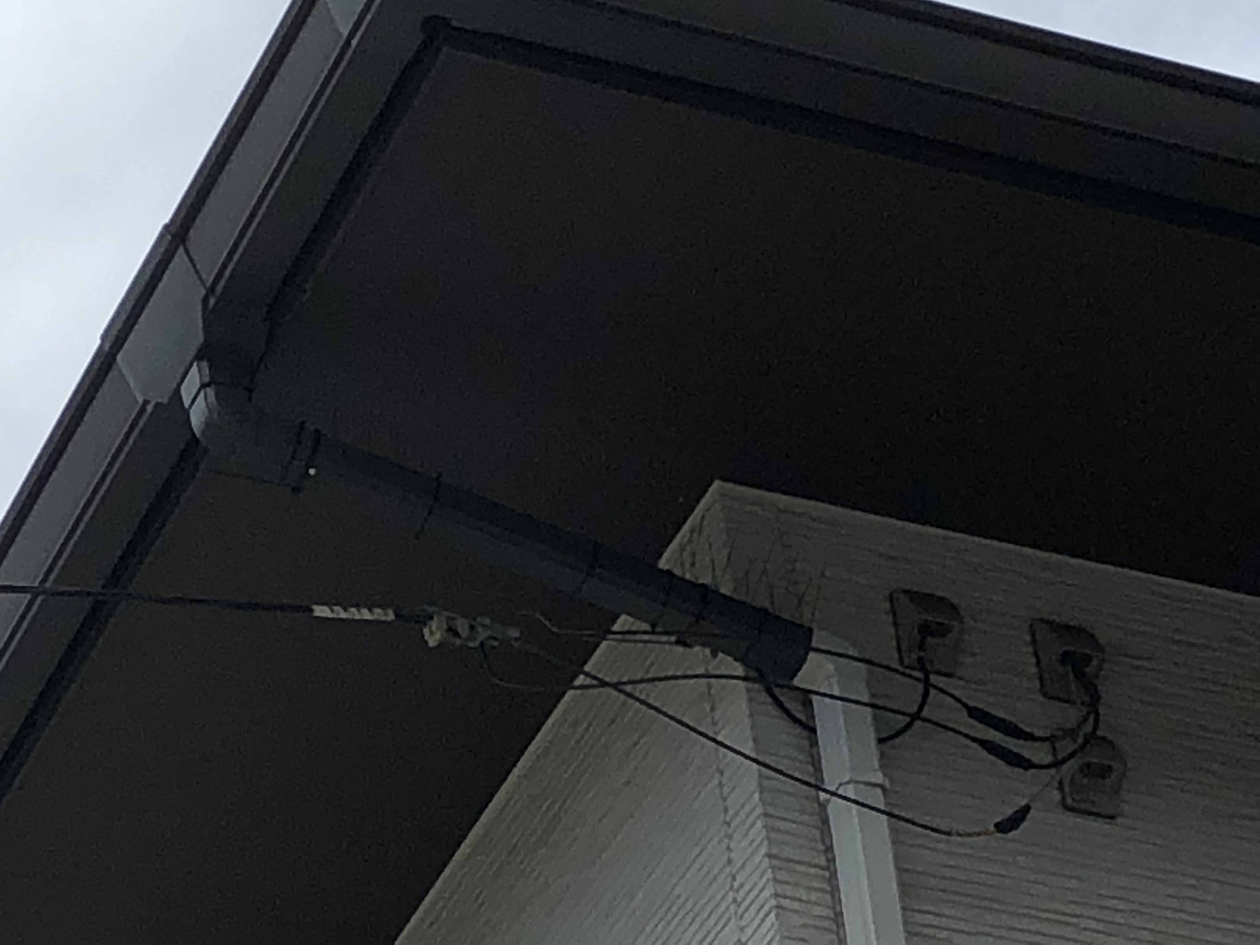 埼玉県越谷市　戸建住宅スパイク設置工事