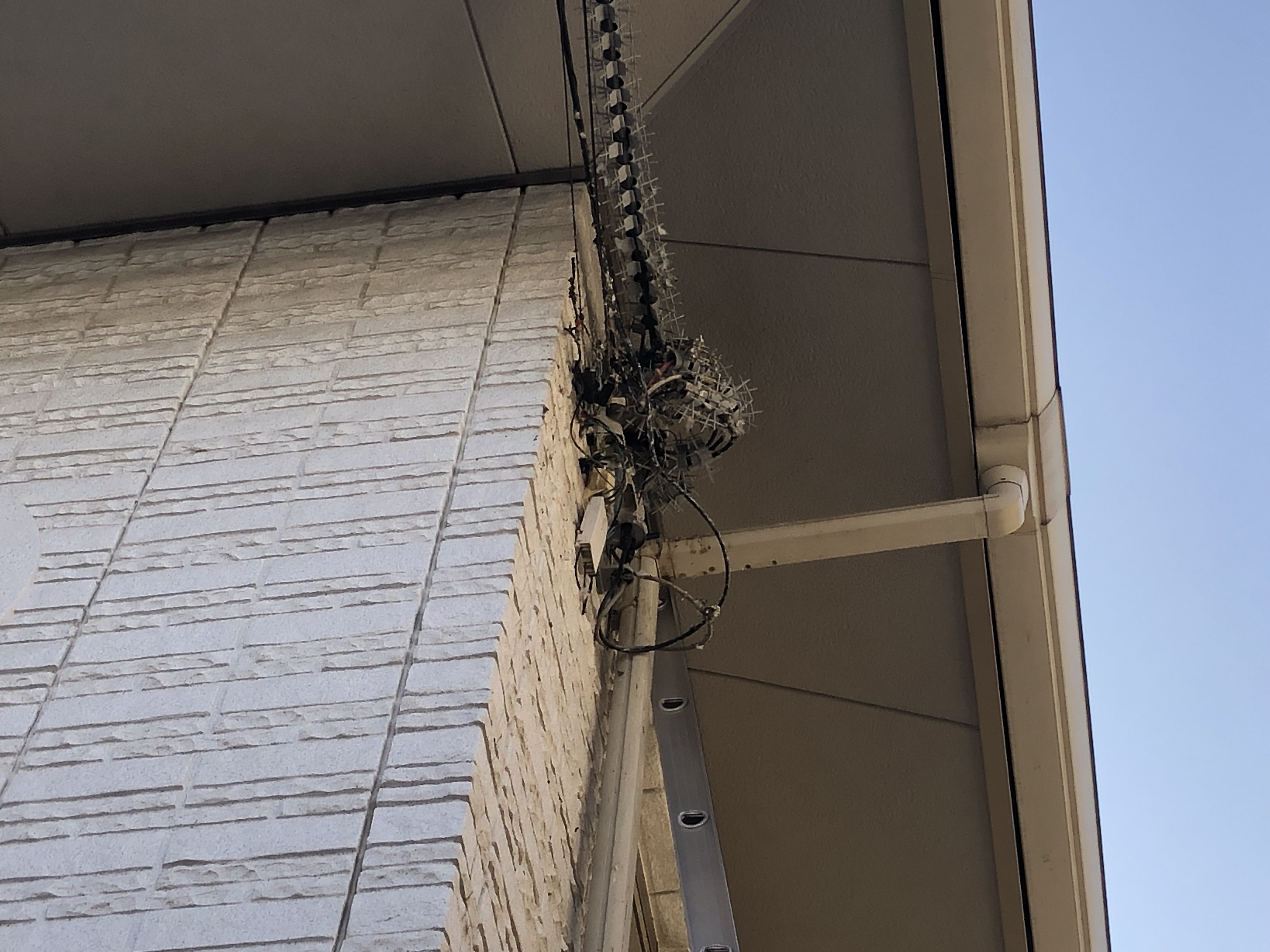 埼玉県　久喜市　スパイク設置工事