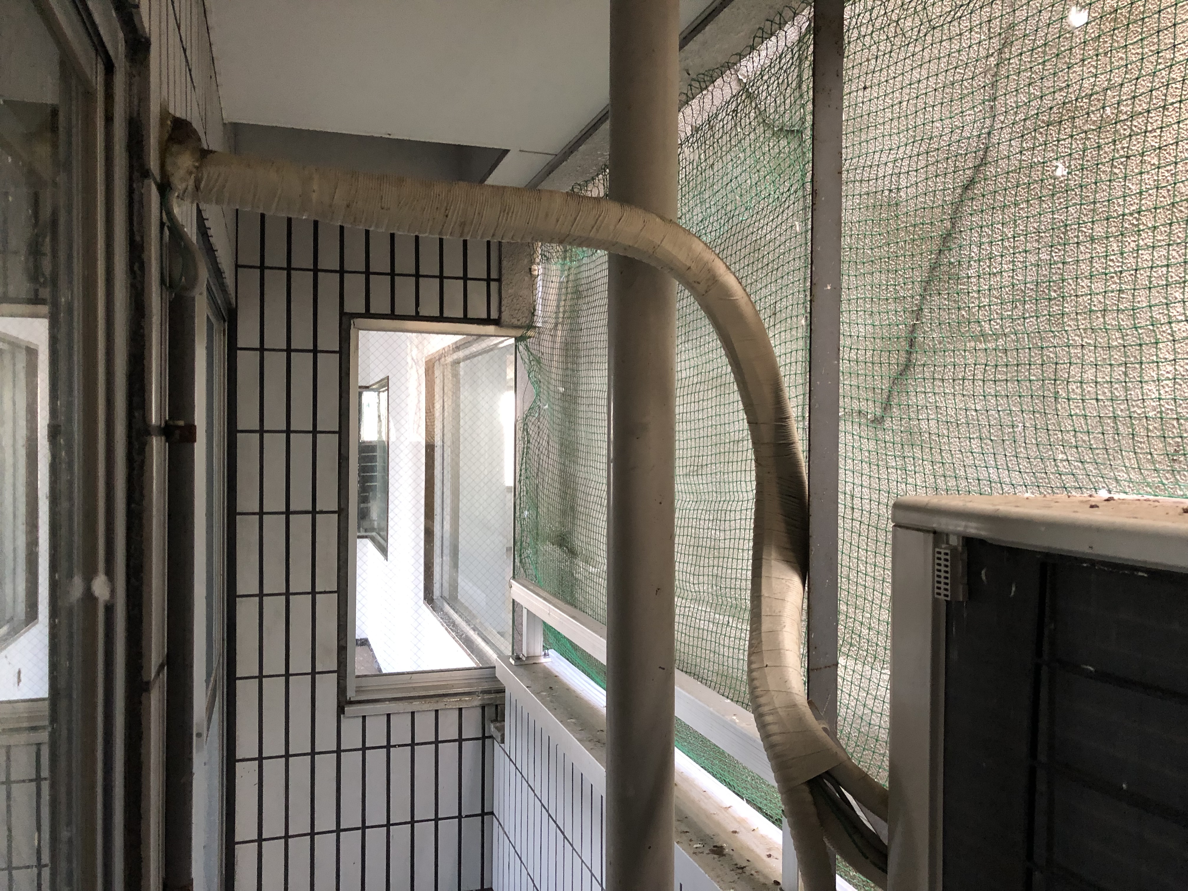 埼玉県　　川口市　テナントビル　鳩対策工事