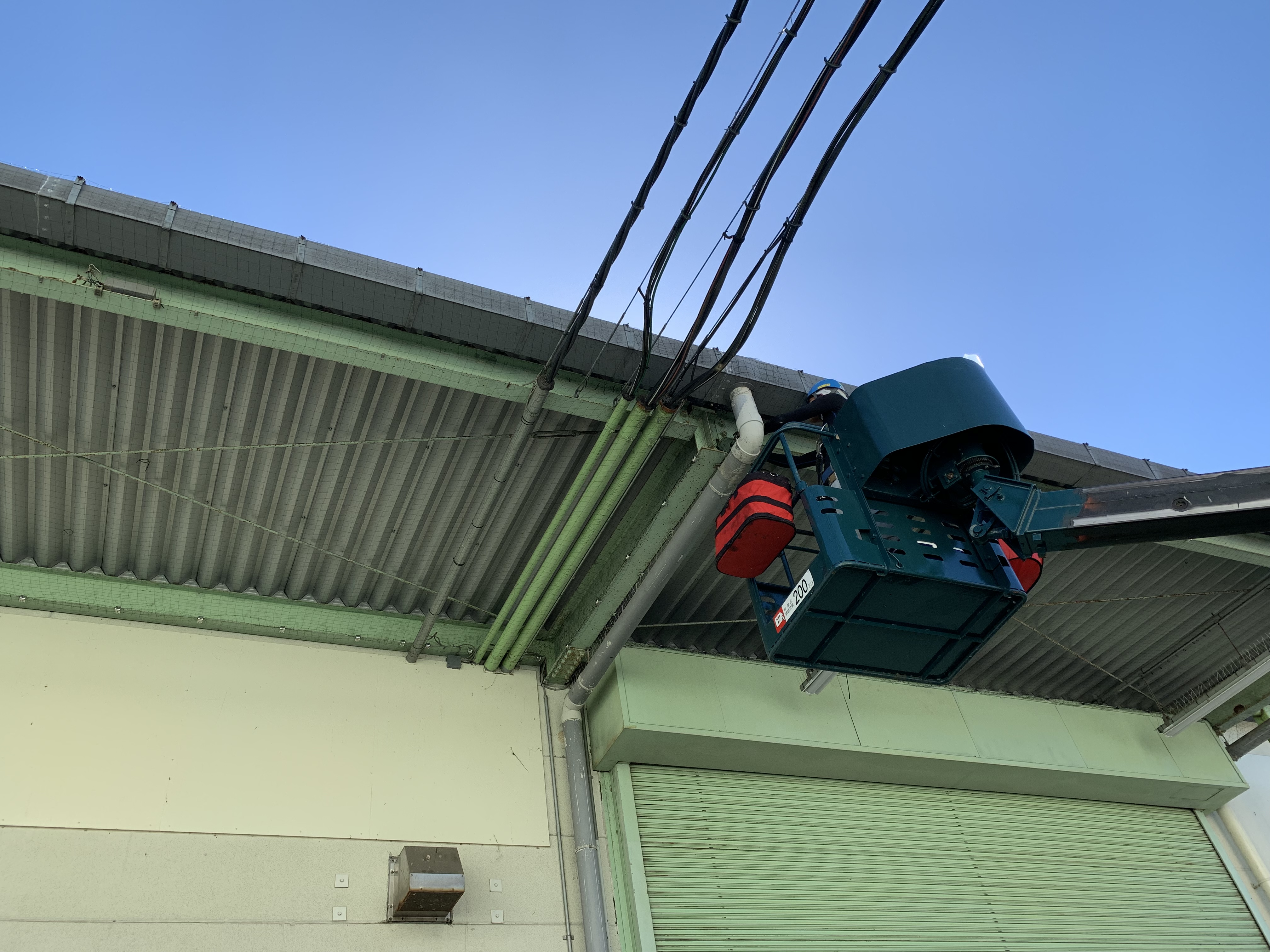 滋賀県甲賀市信楽町の某工場　工場出入口の庇に鳩が巣を作って下に糞を落として製品が汚れる　防鳥ネットにて対策