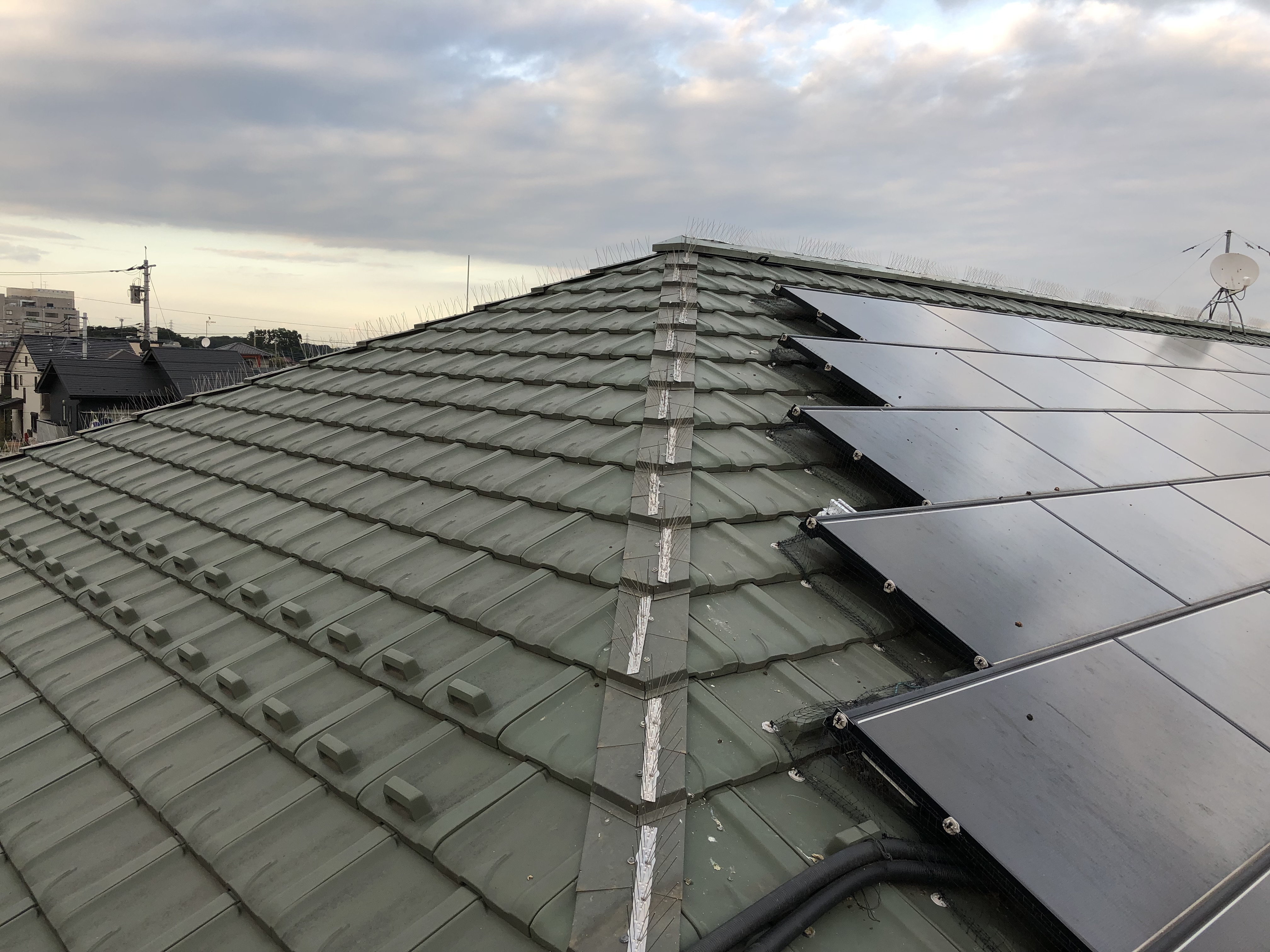 埼玉県所沢市　アパート鳥害対策工事