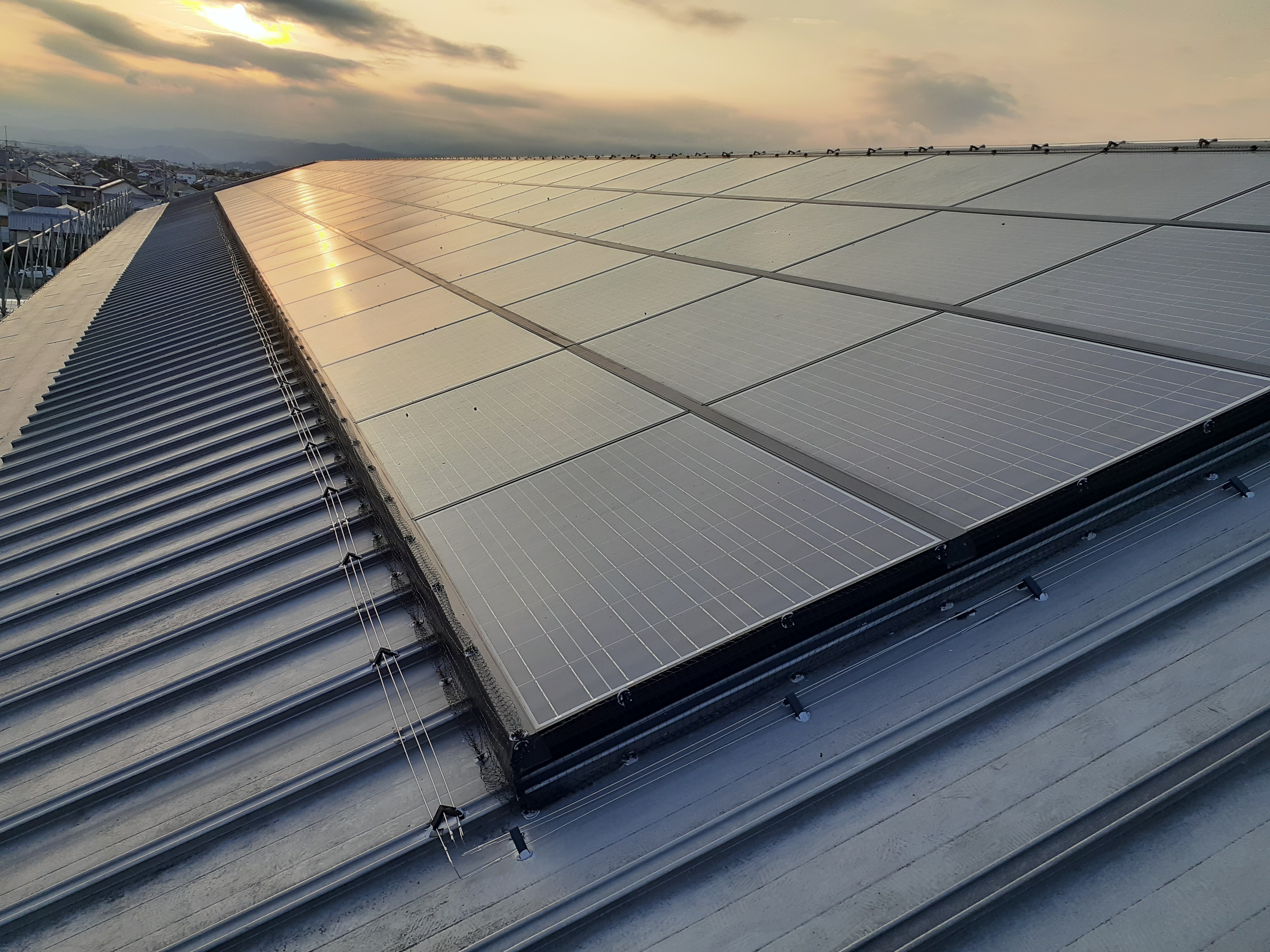 高知県香南市　教育施設　鳩対策（ピーコンネット・電気ショック施工）