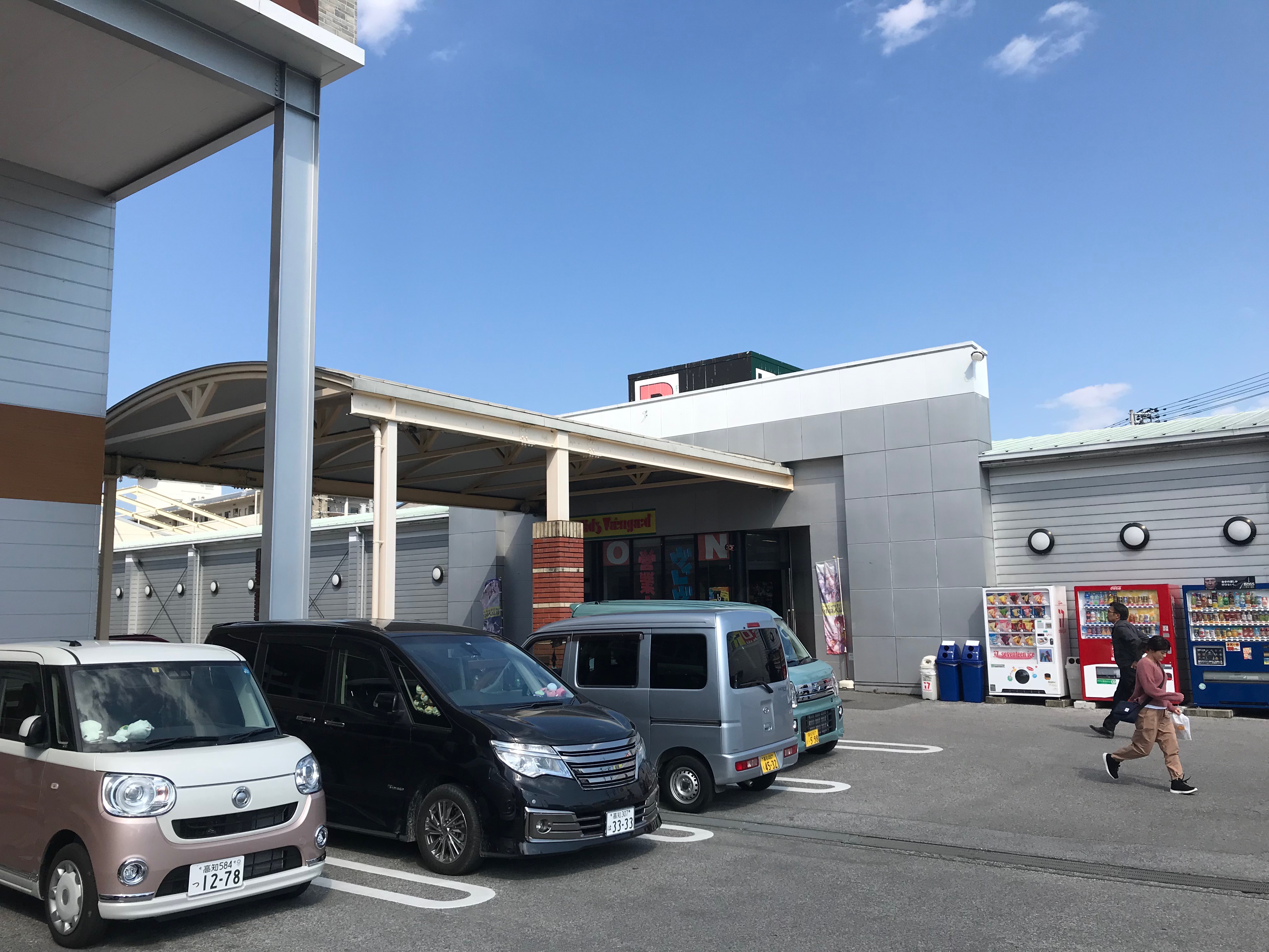 高知県高知市　量販店駐車場　鳩対策（ネット施工）