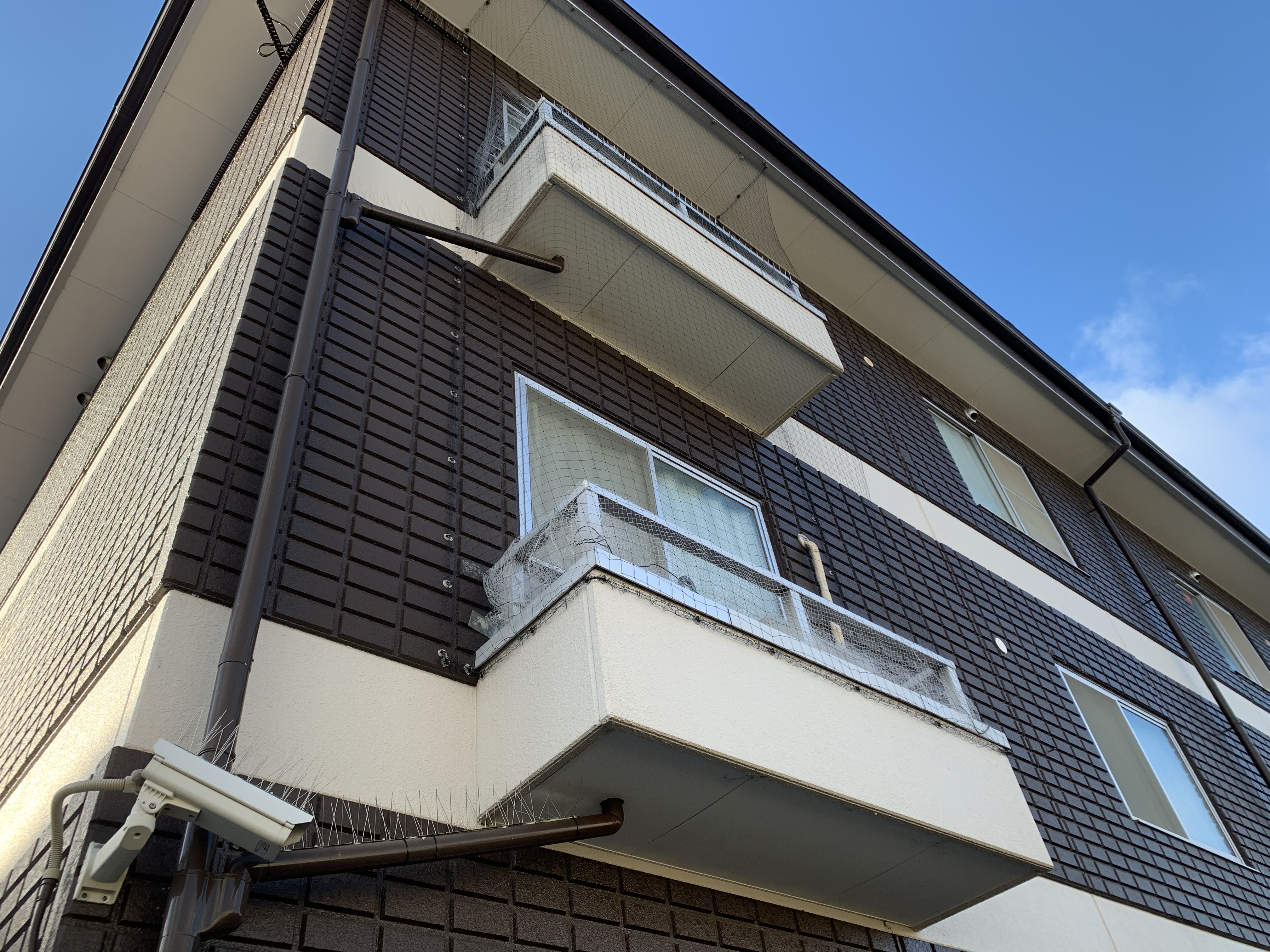 京都市伏見区賃貸マンション　室外機置場に鳩が巣づくりして糞害が発生　ピーコンネットを取り付けて対策しました。