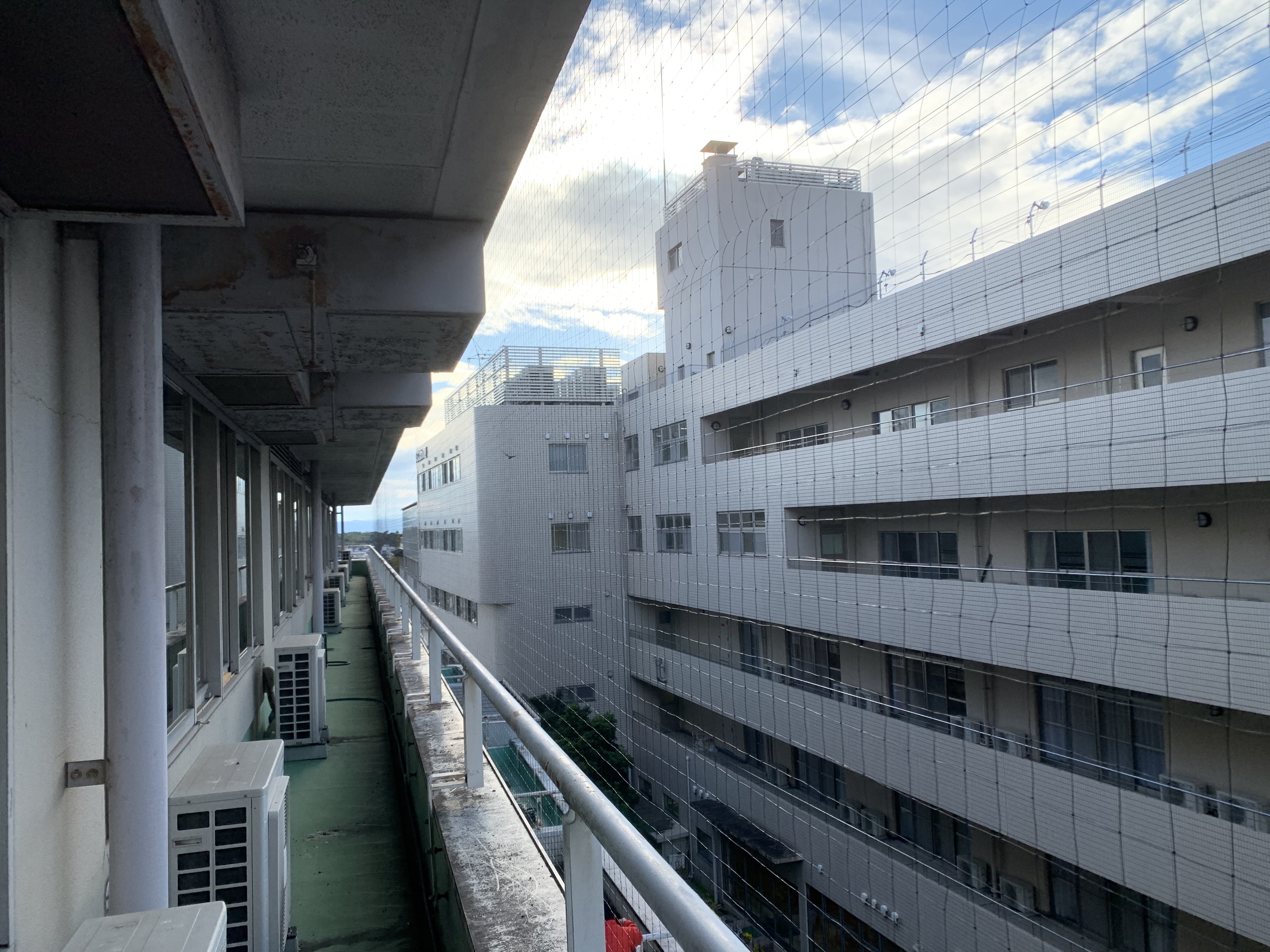 京都市西京区病院　南面ベランダに鳩が侵入し糞害　防鳥ネットを取り付けることによって対策しました。