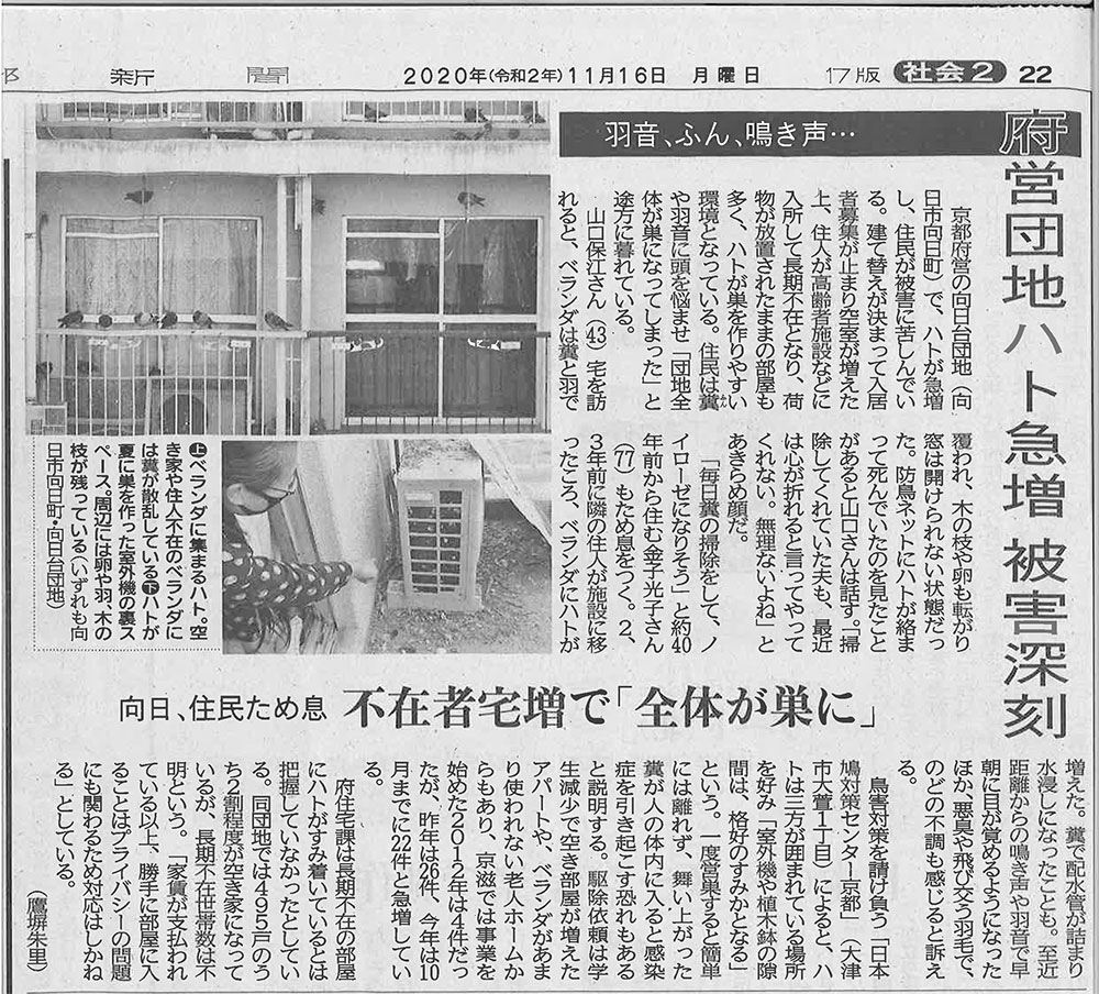 京都 新聞 ニュース